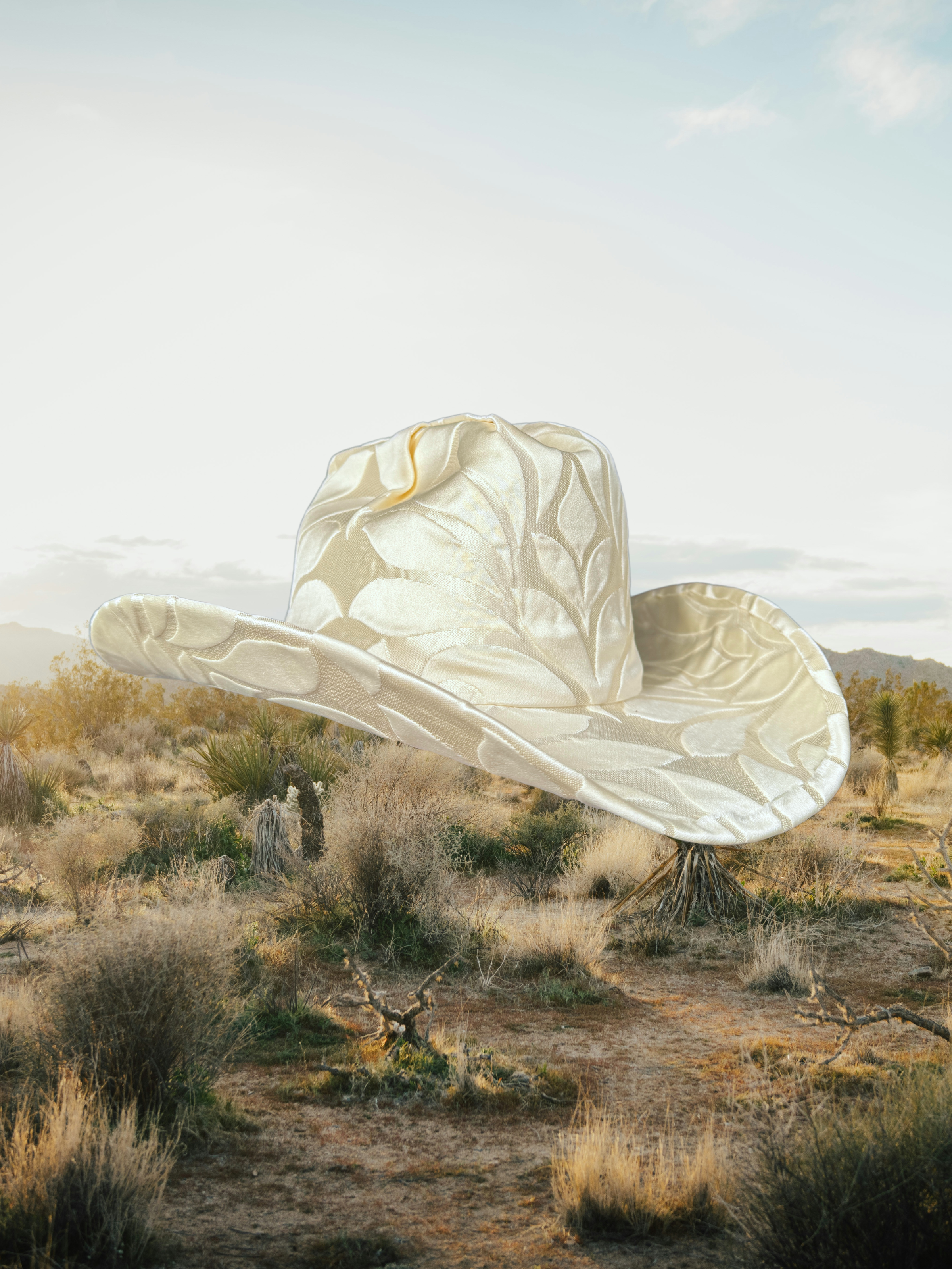 Champagne Mirage - Zandria