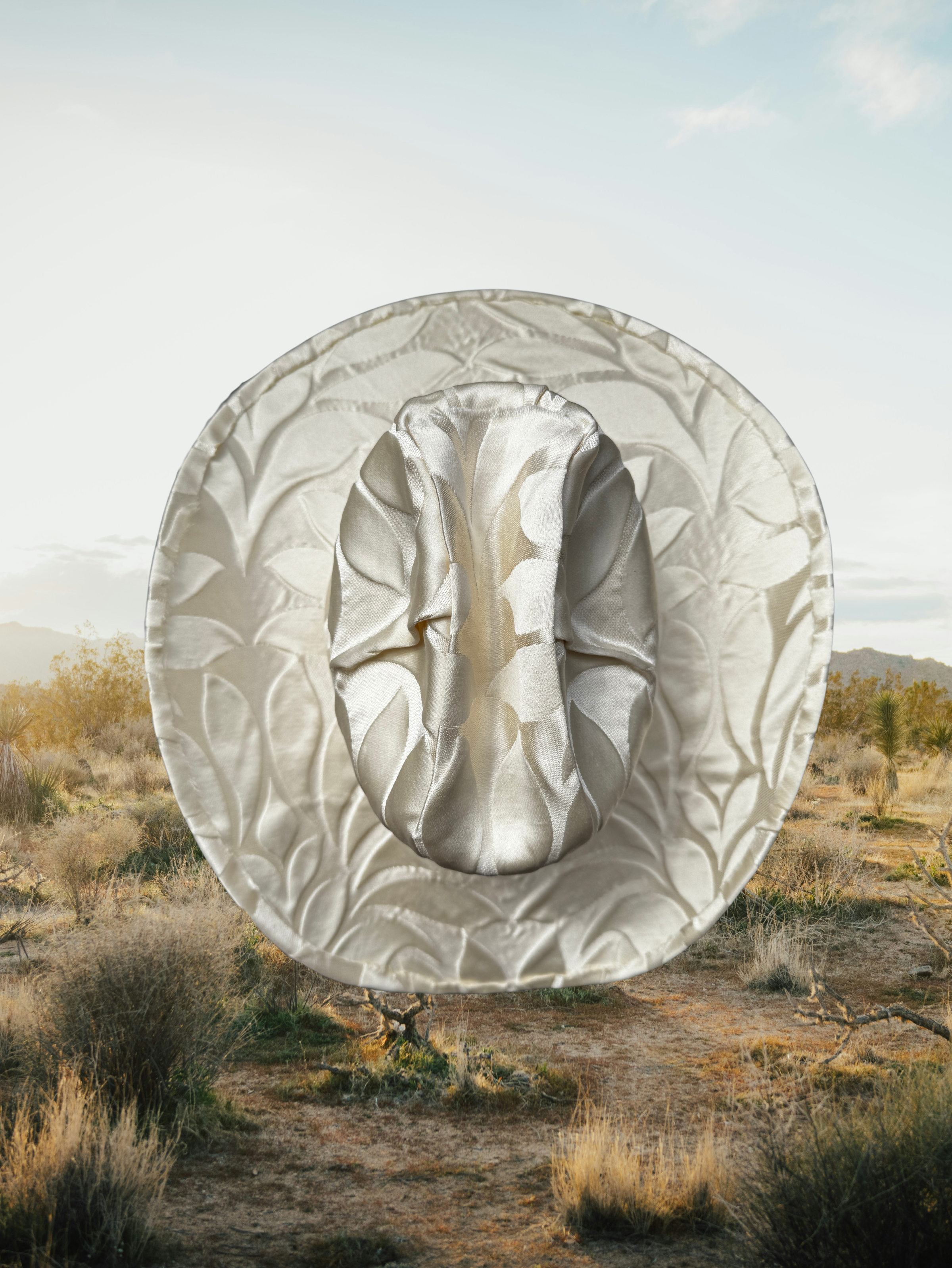 Champagne Mirage - Zandria