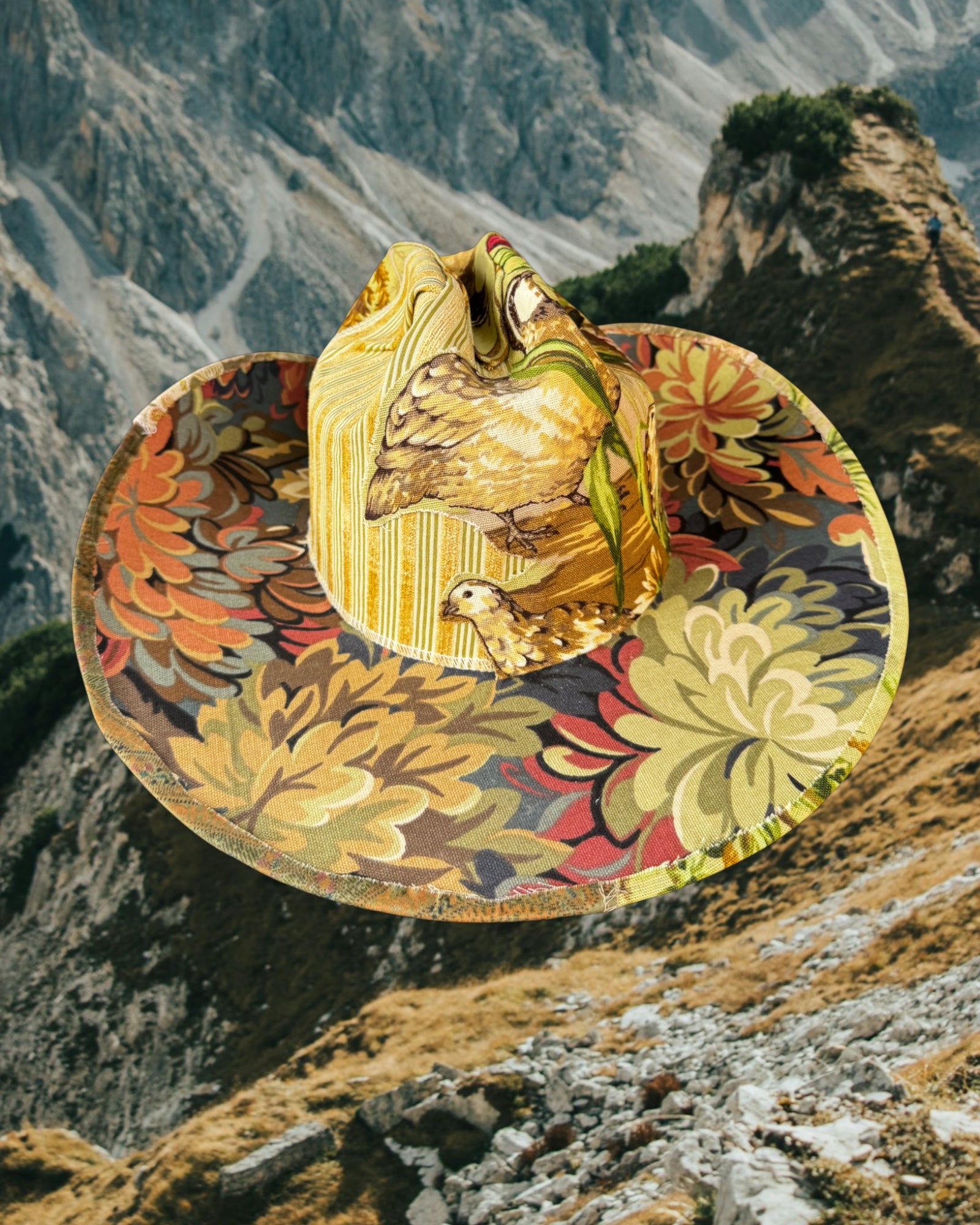 House of Birds - Zandria