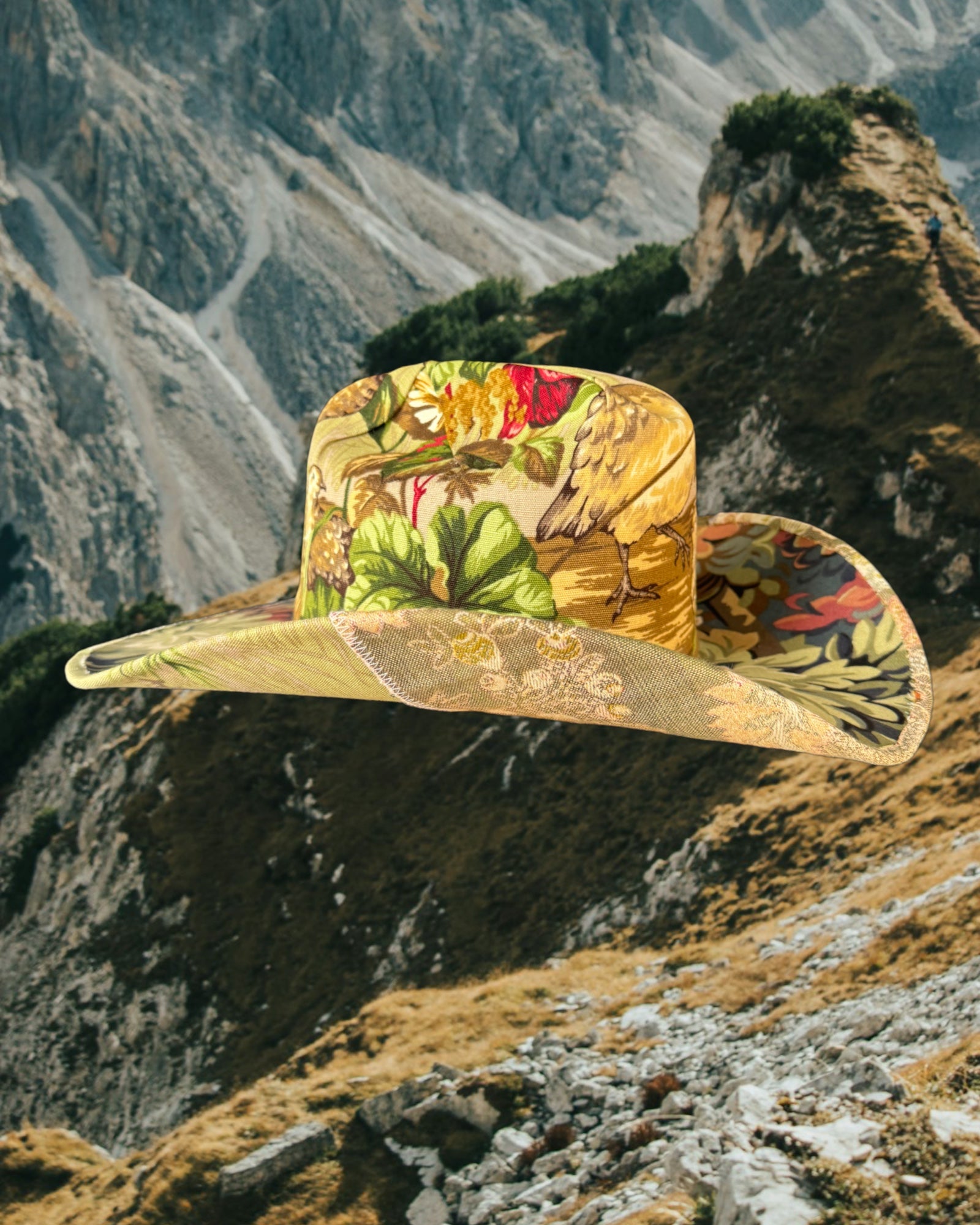 House of Birds - Zandria