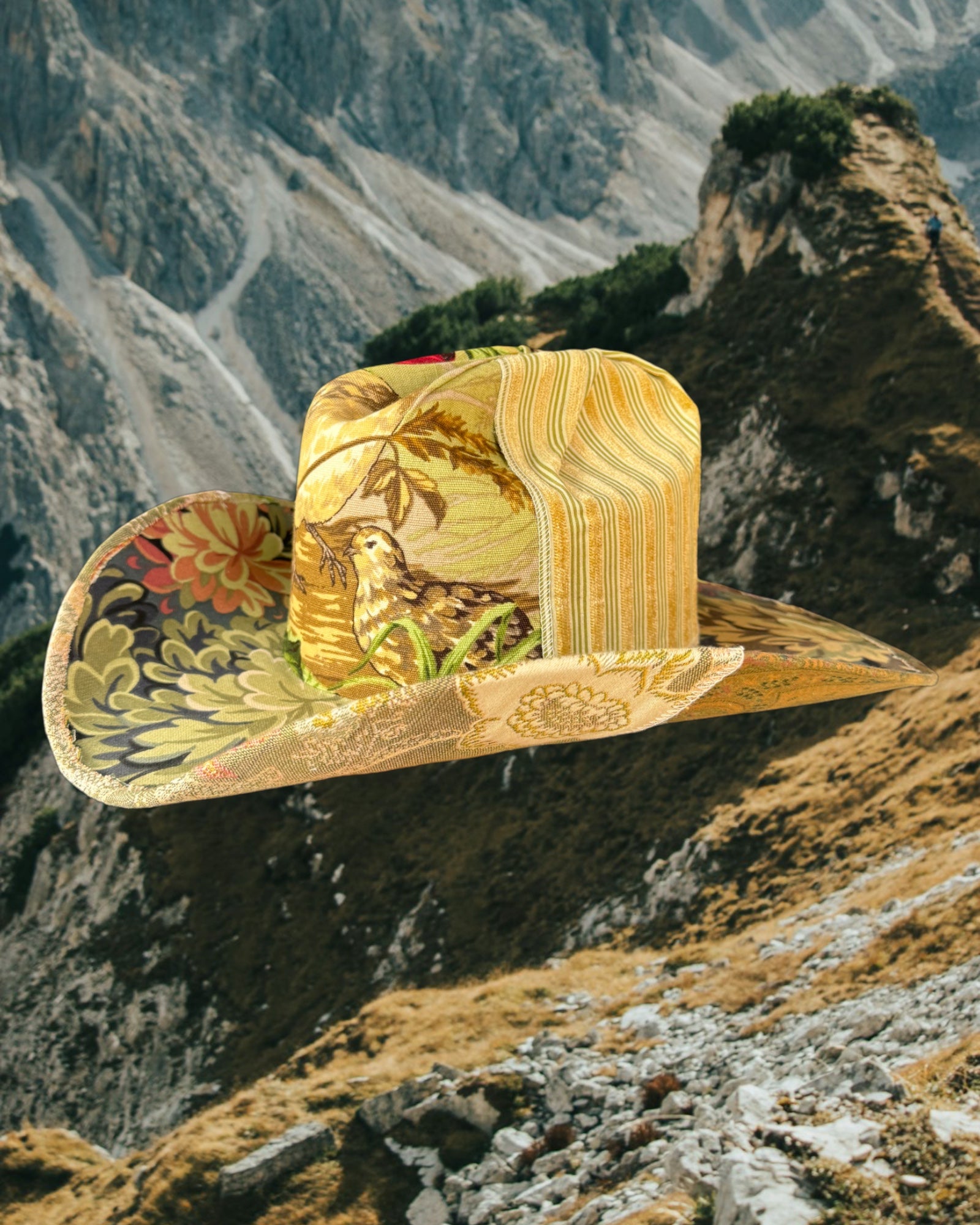 House of Birds - Zandria