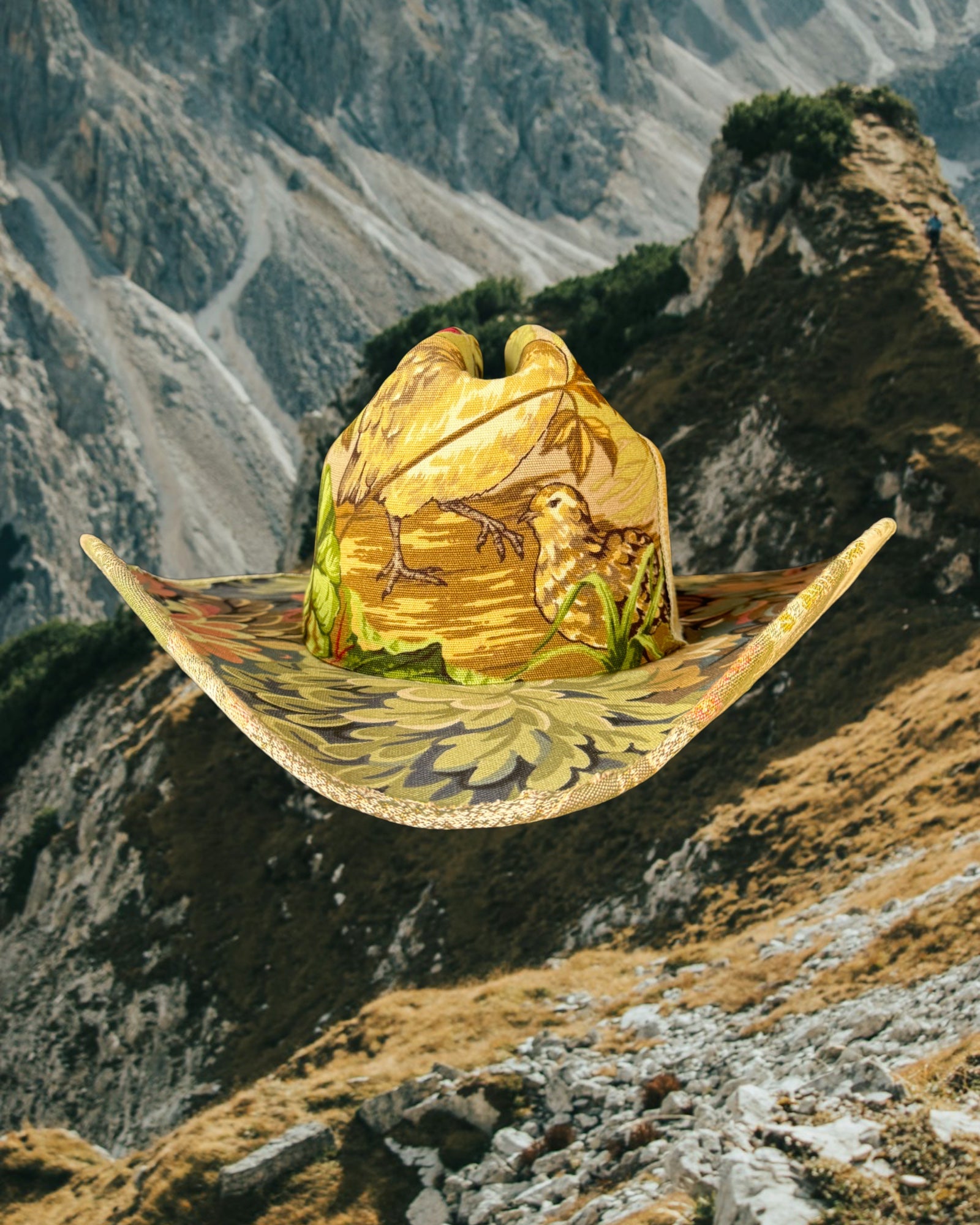 House of Birds - Zandria