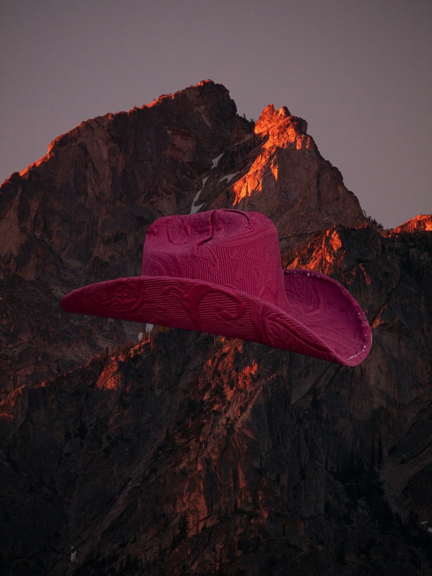 Dahlia Dusk - Zandria