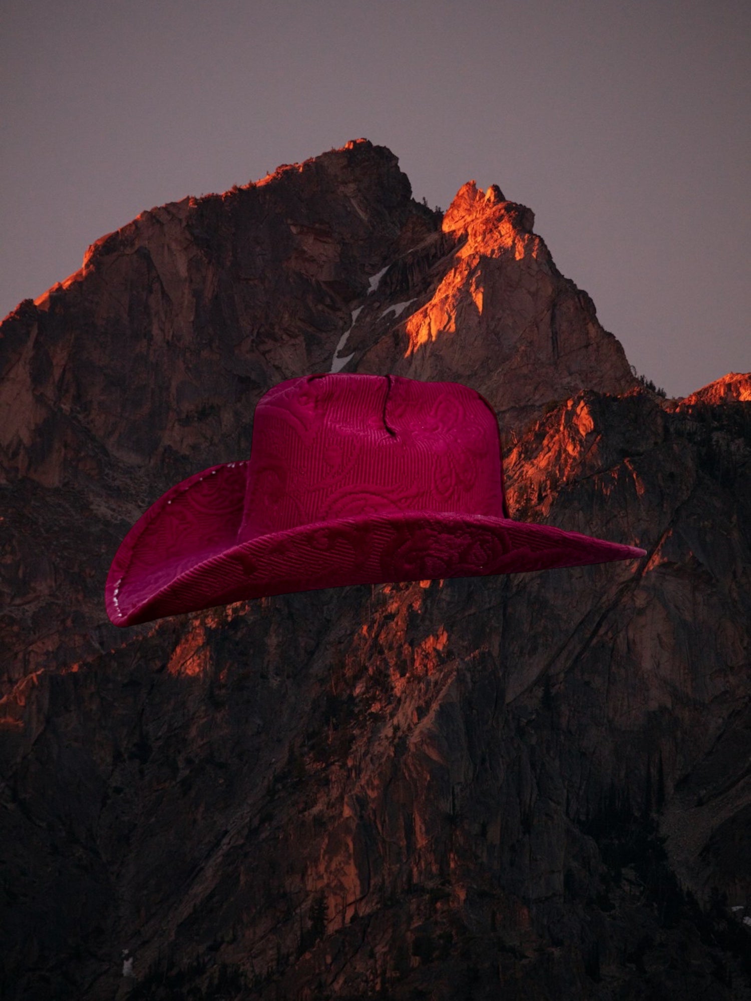 Dahlia Dusk - Zandria