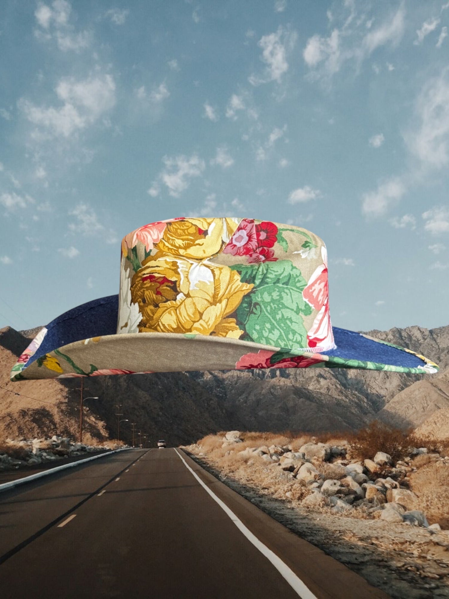 Denim & Daisies - Zandria