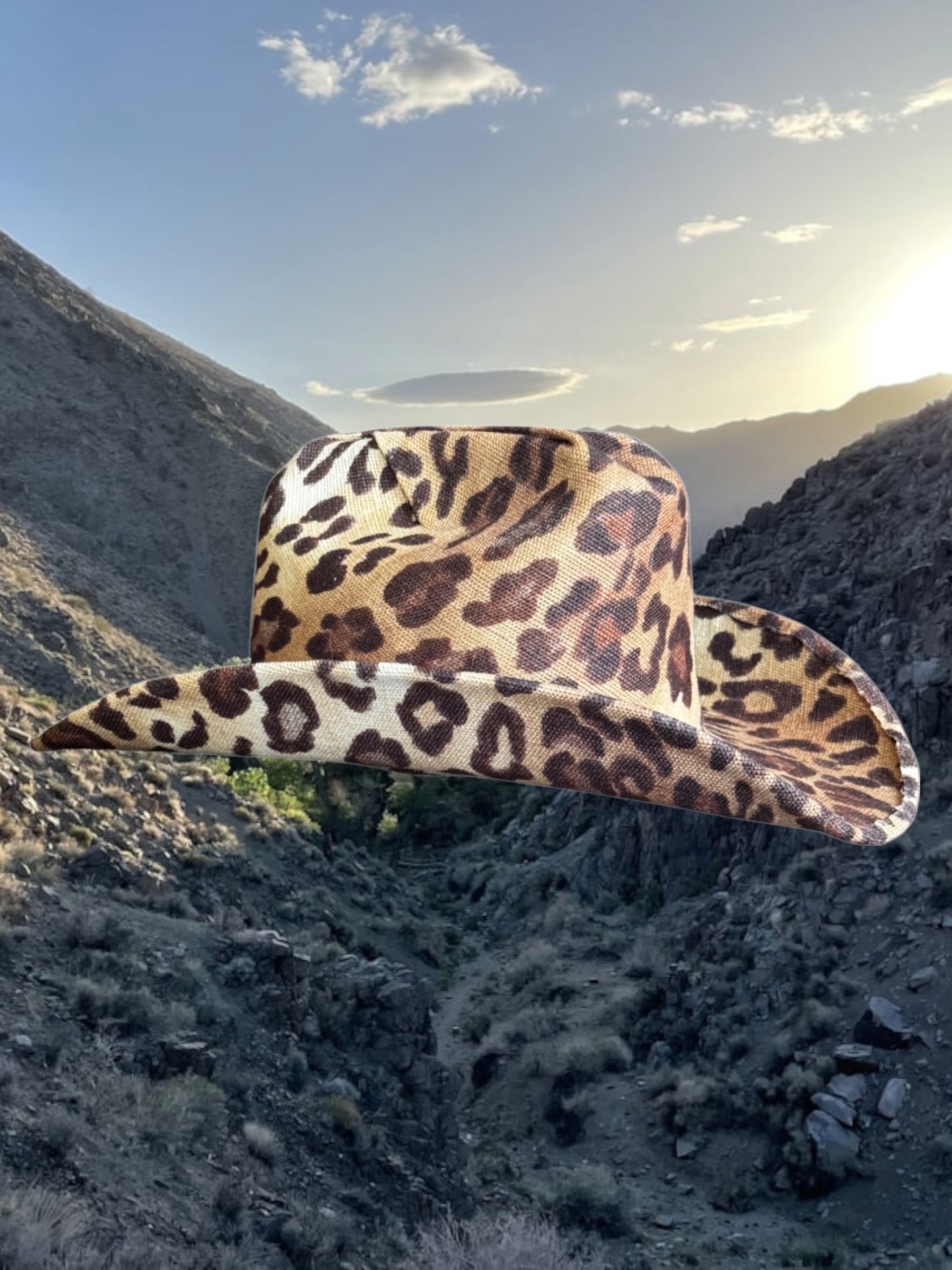 Desert Cheetah
