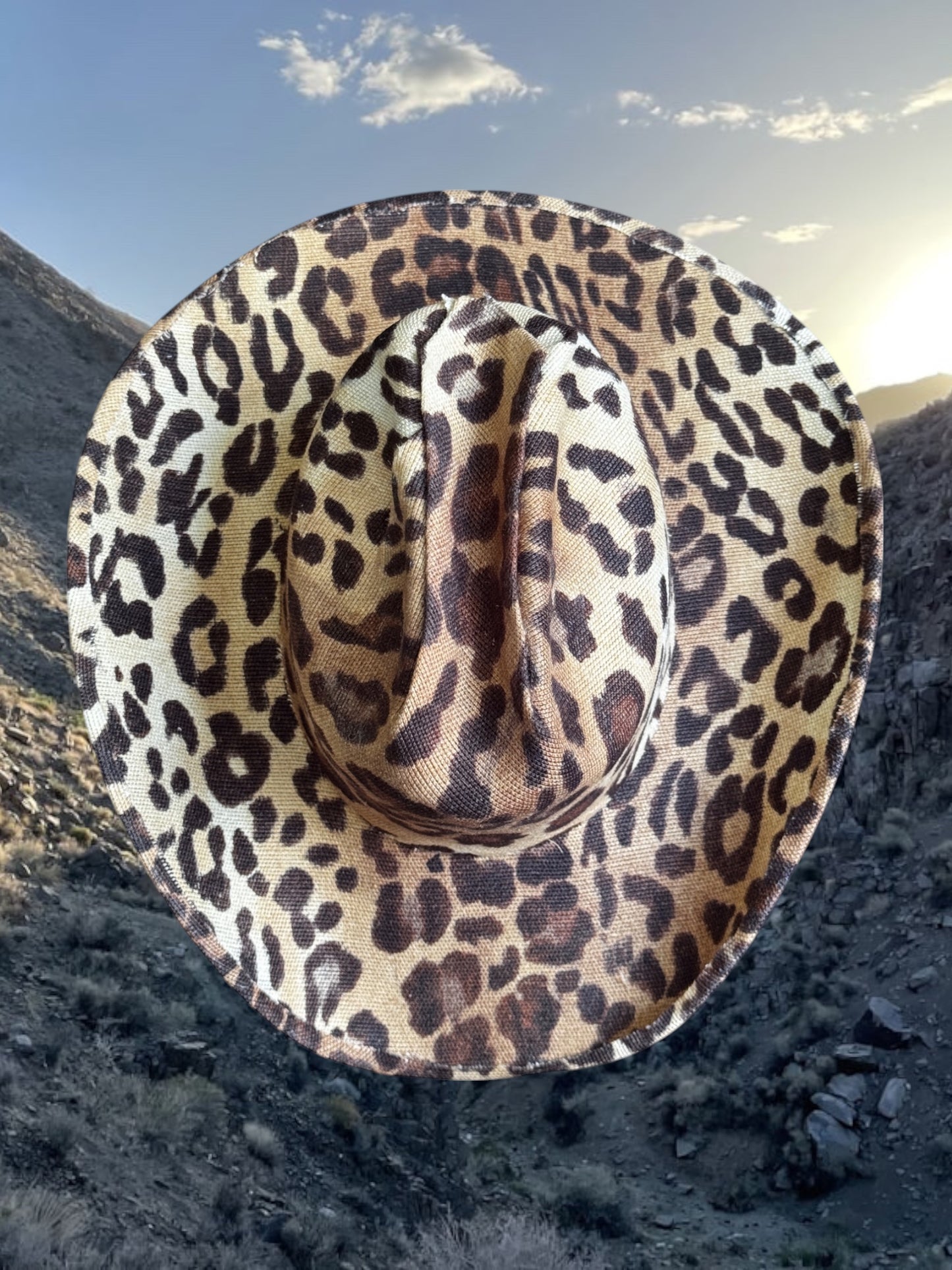 Desert Cheetah