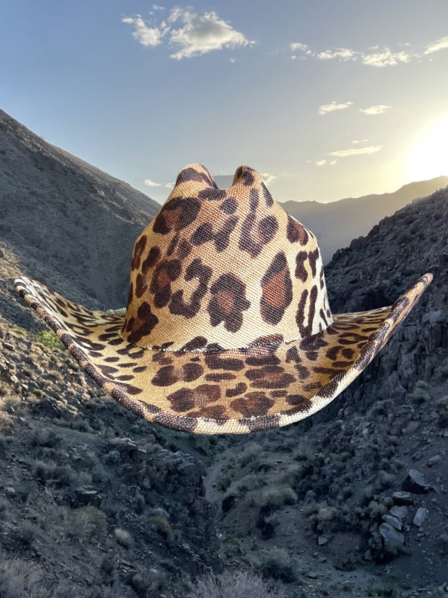 Desert Cheetah