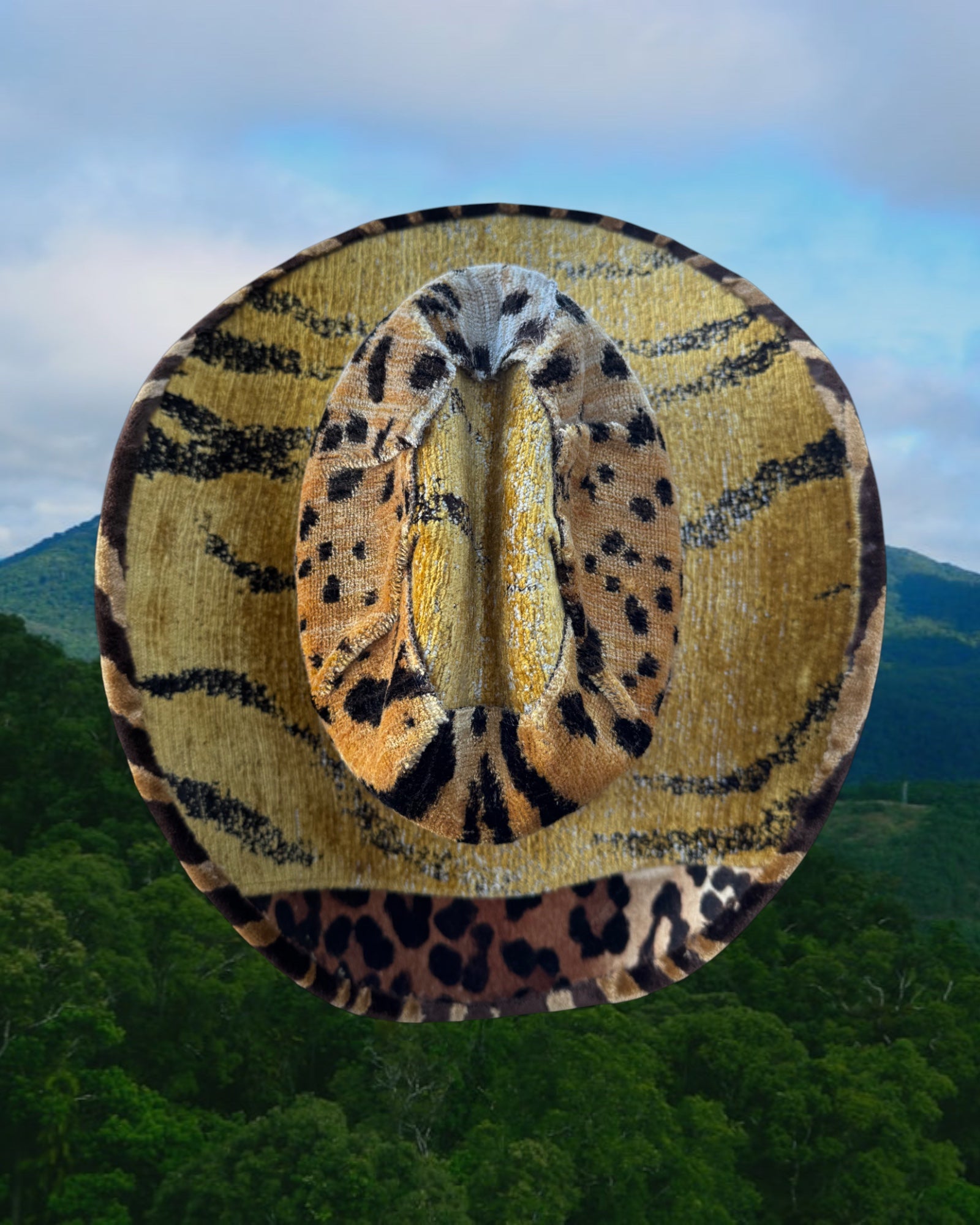 Exotic Study - Zandria