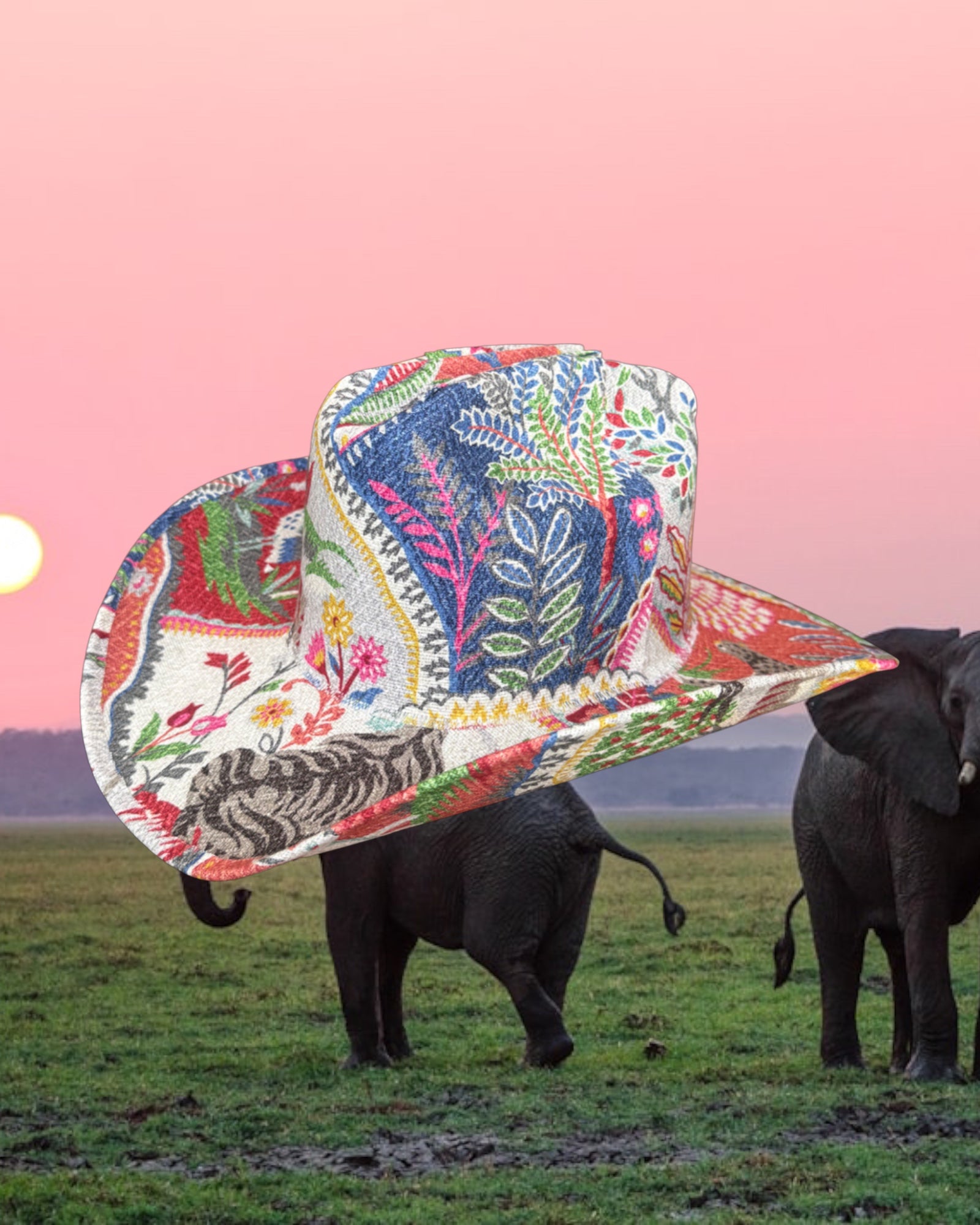 Finicky Hibiscus - Zandria