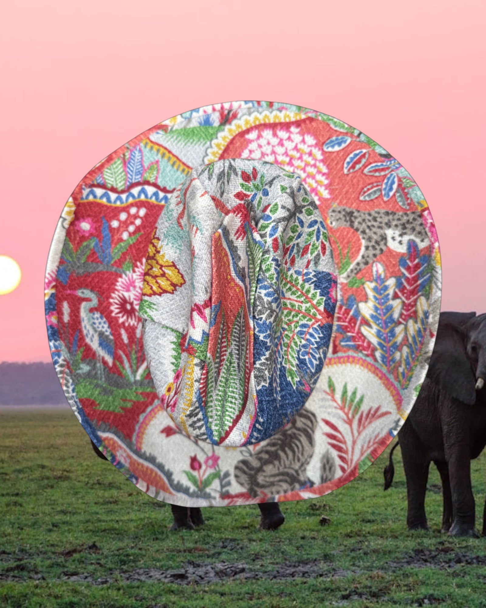 Finicky Hibiscus - Zandria