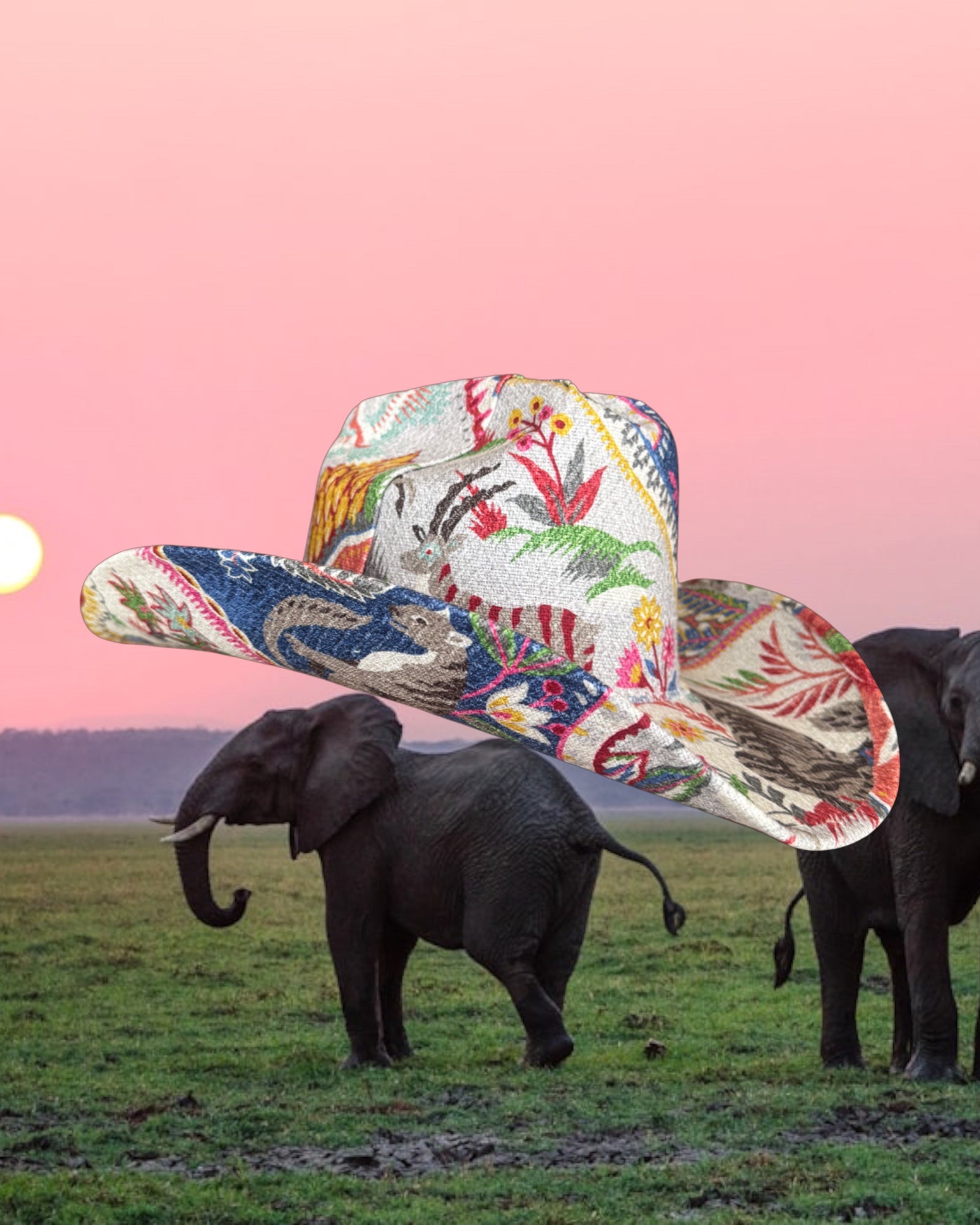 Finicky Hibiscus - Zandria