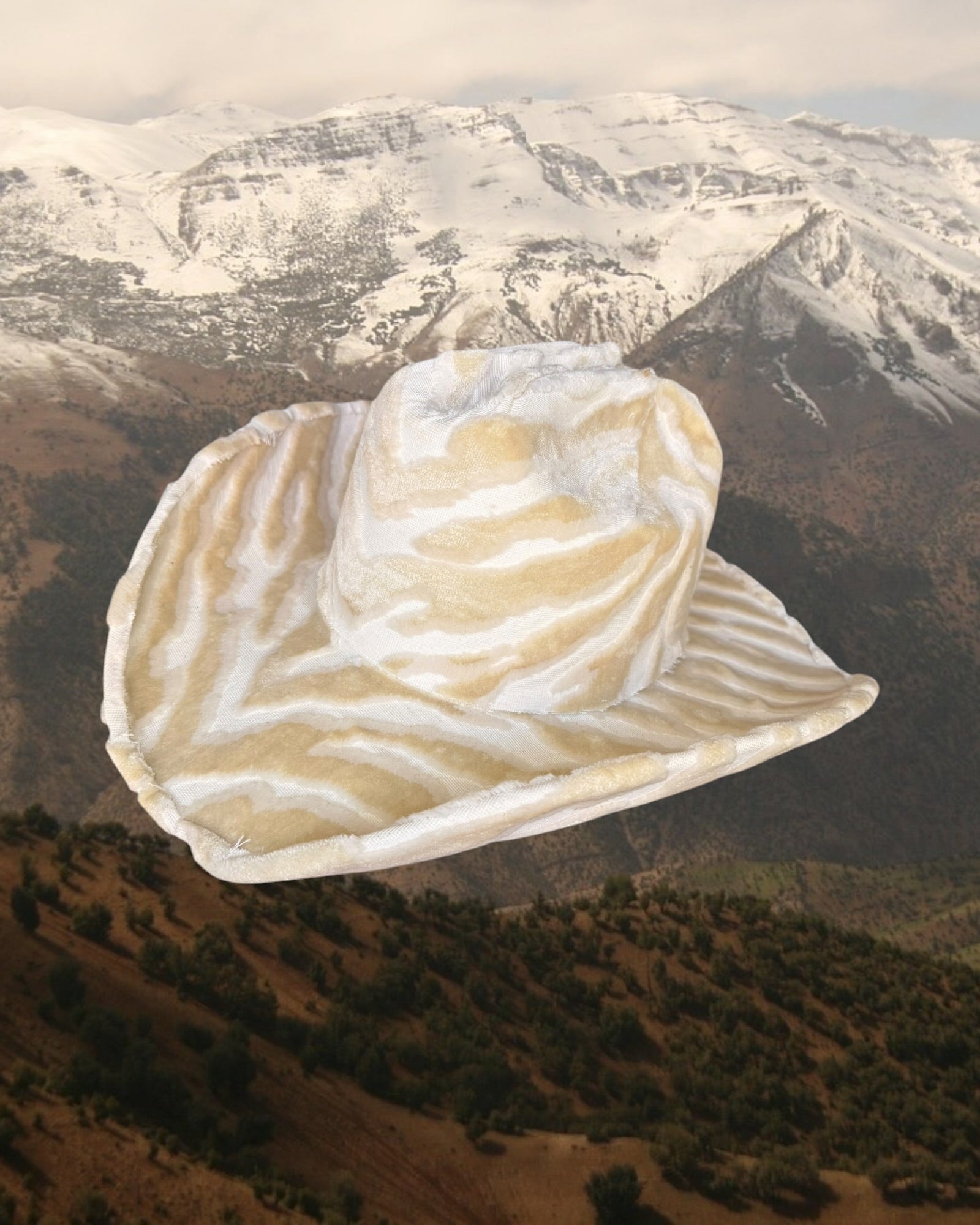 Blonde Zebra