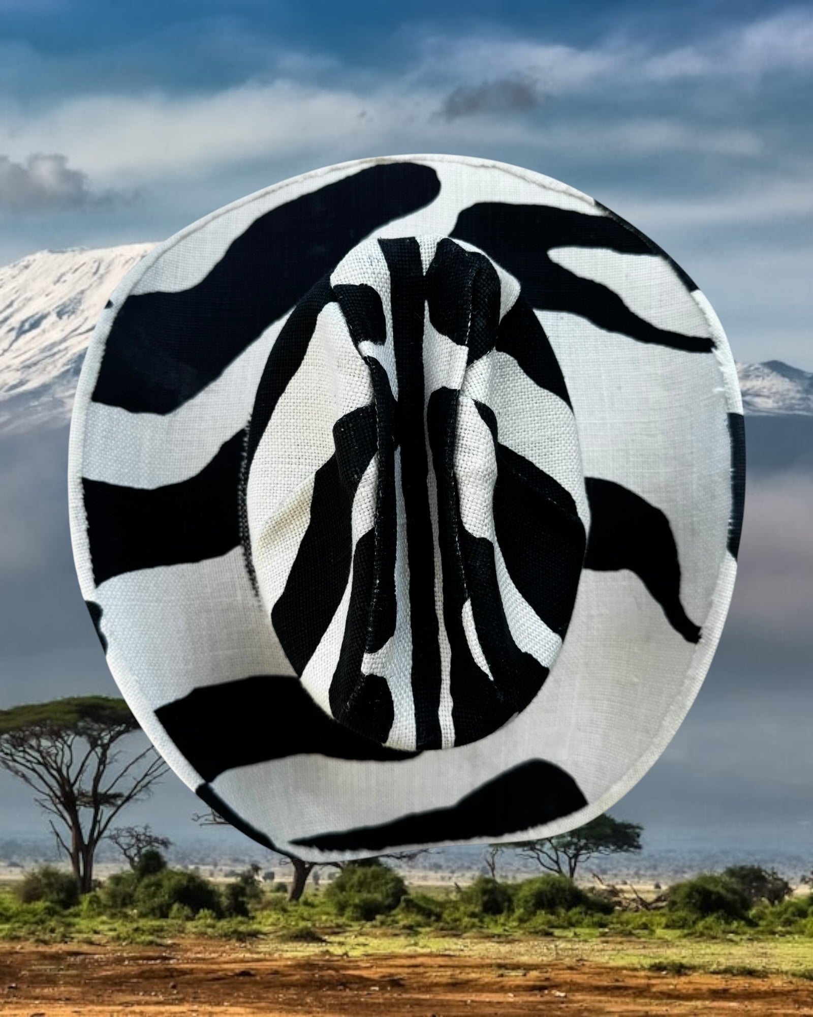 Zebra Line