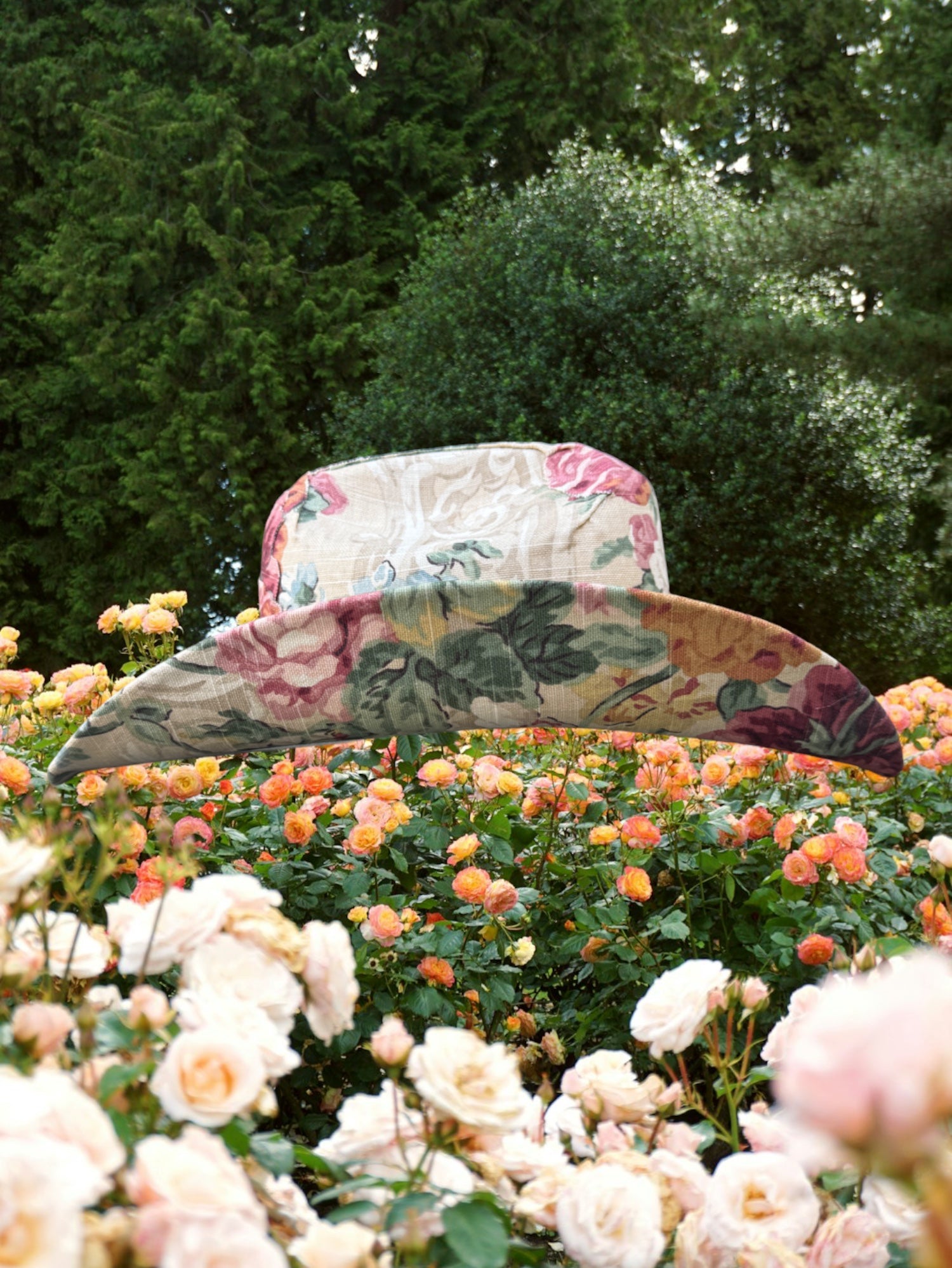 La Vie En Rose - Zandria