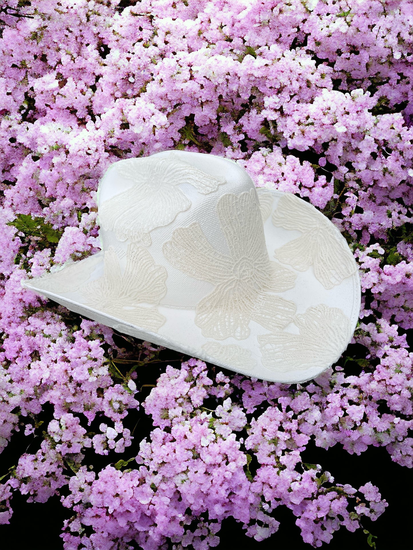Sakura - Zandria