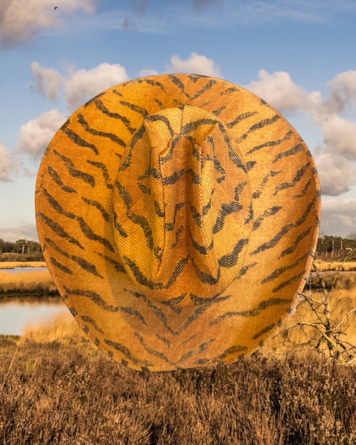 Savanna Sunrise - Zandria