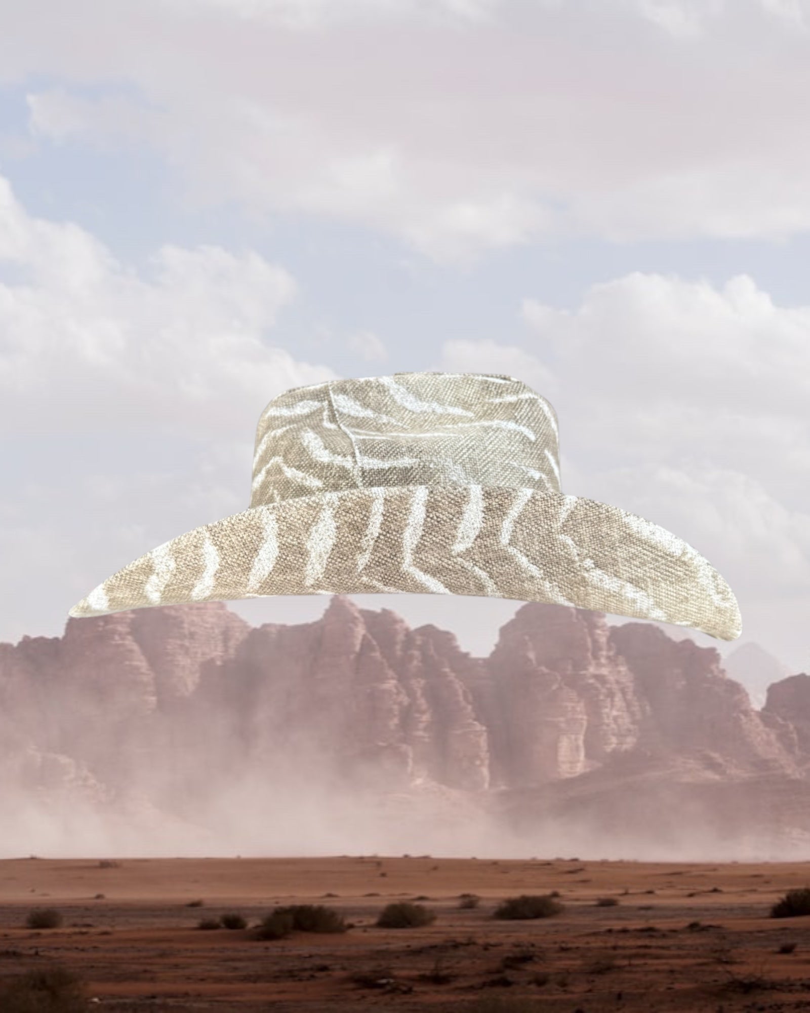Stone Zebra