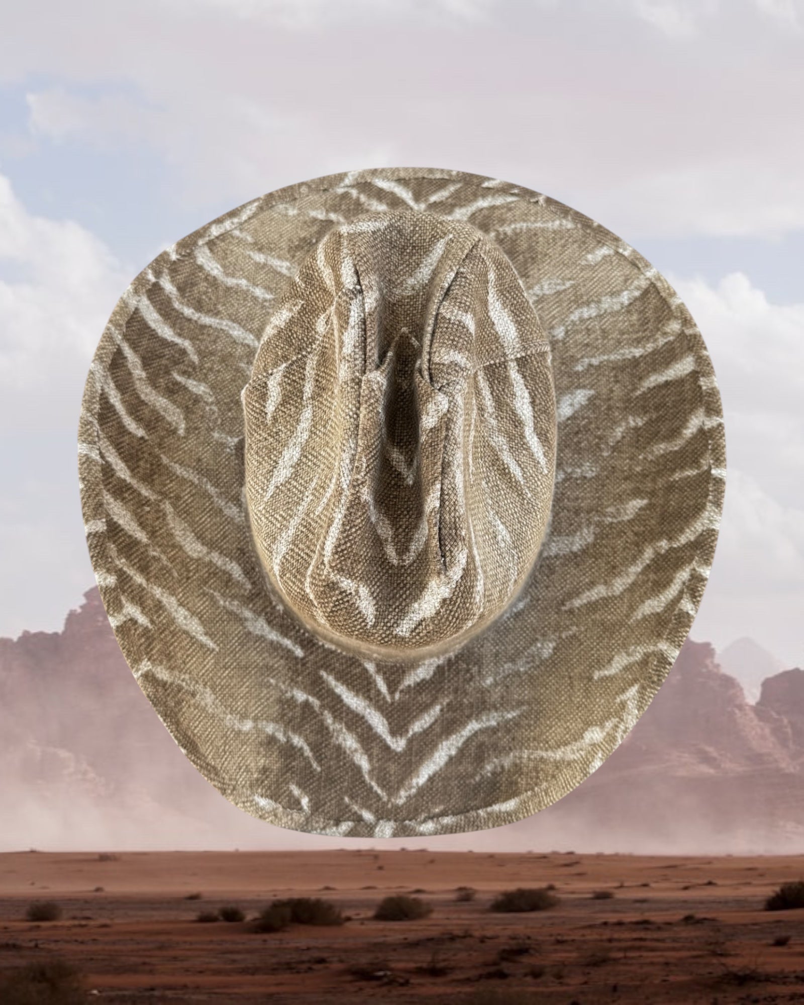 Stone Zebra