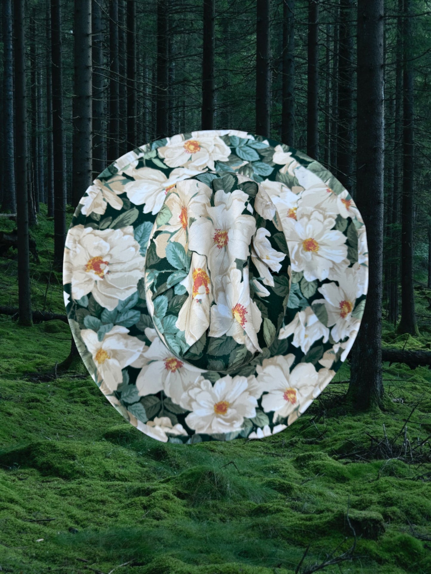 Venus - Zandria