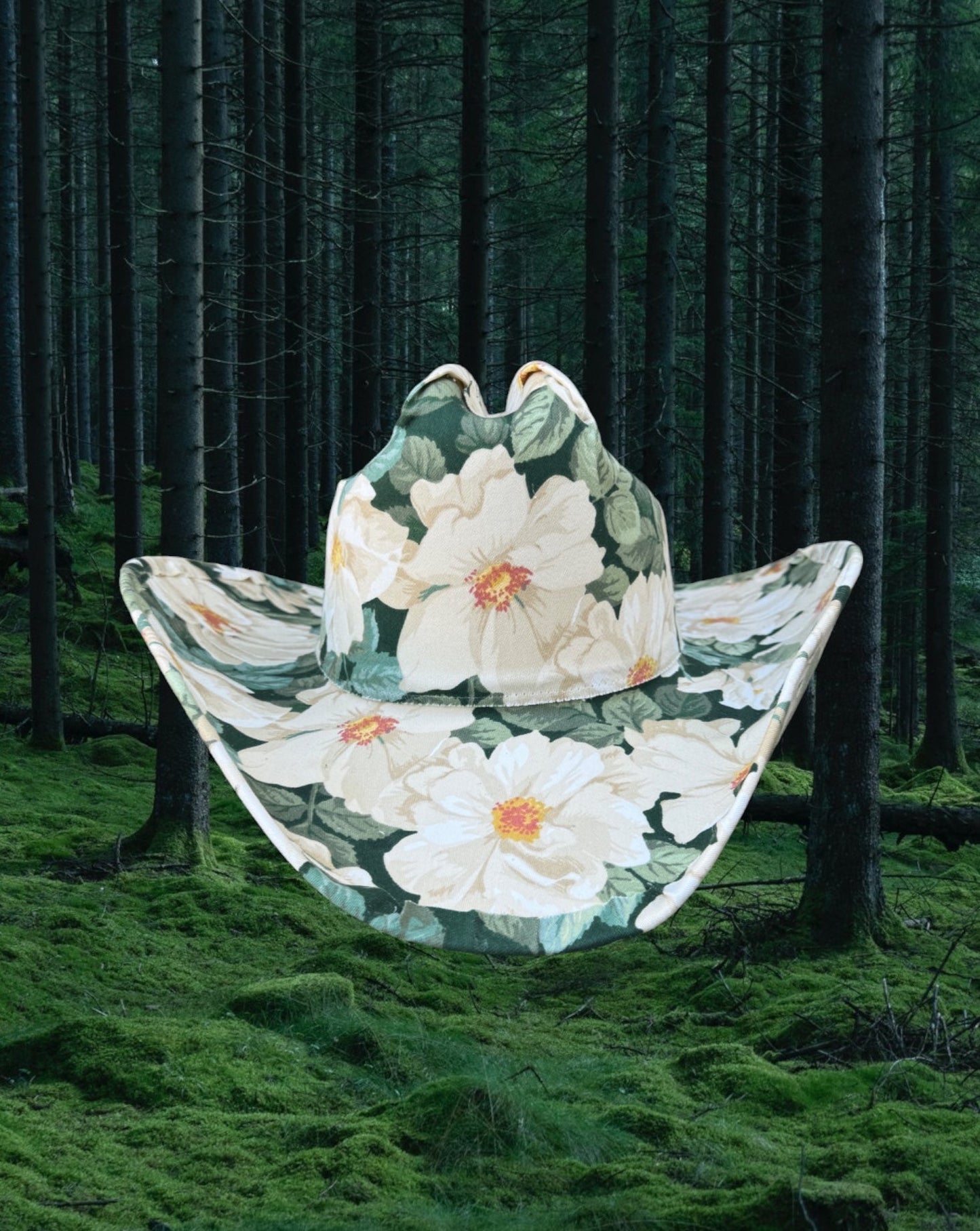 Venus - Zandria