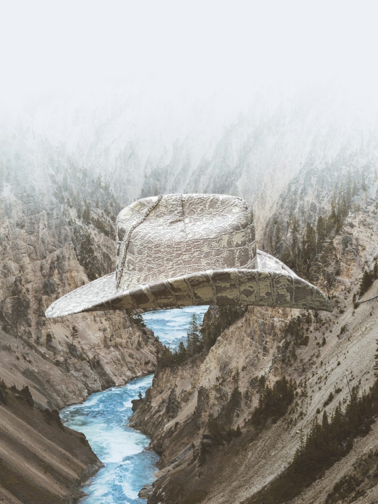 Viper's Veil - Zandria