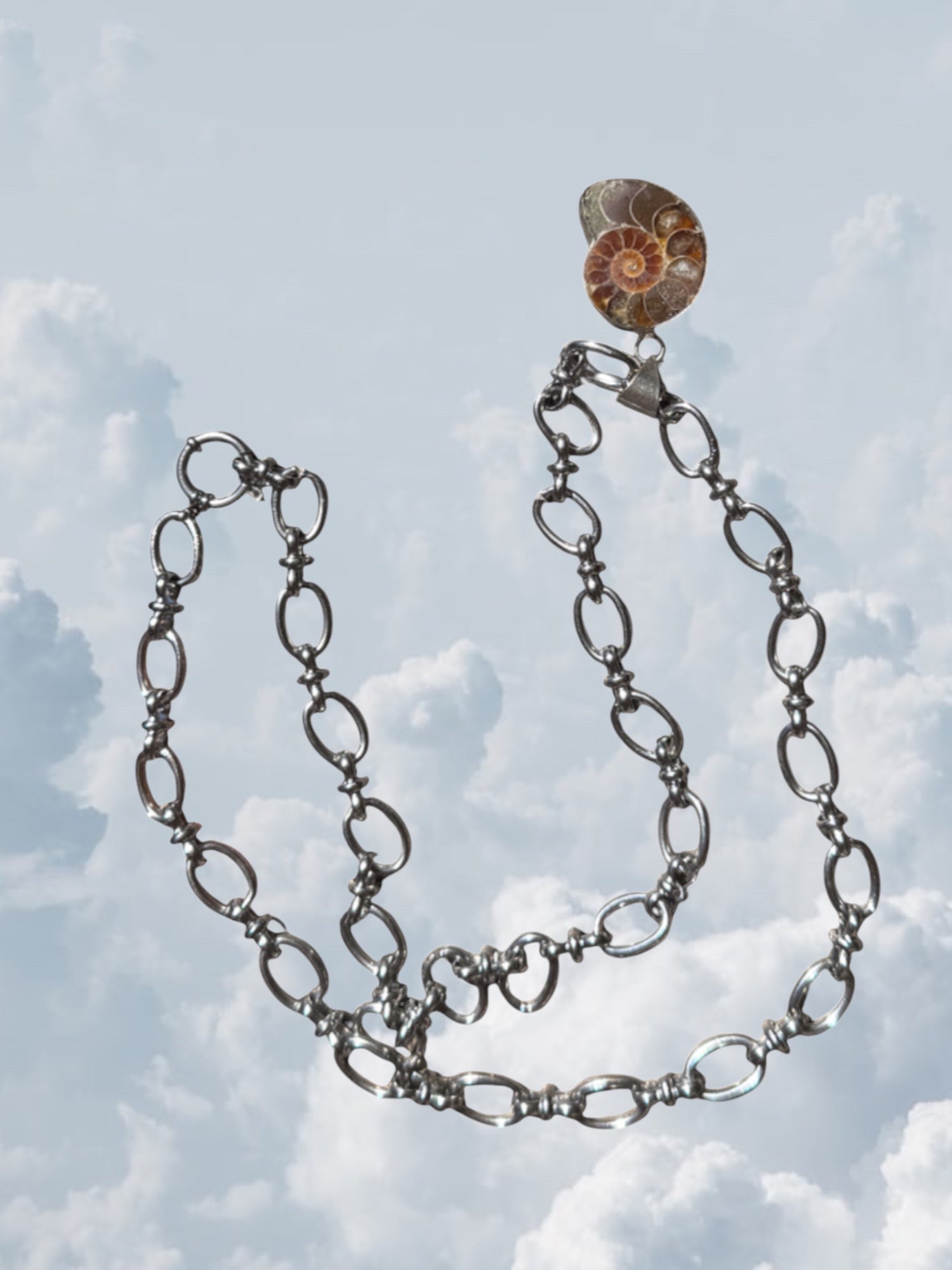 Ammonite Fossil Silver - Zandria