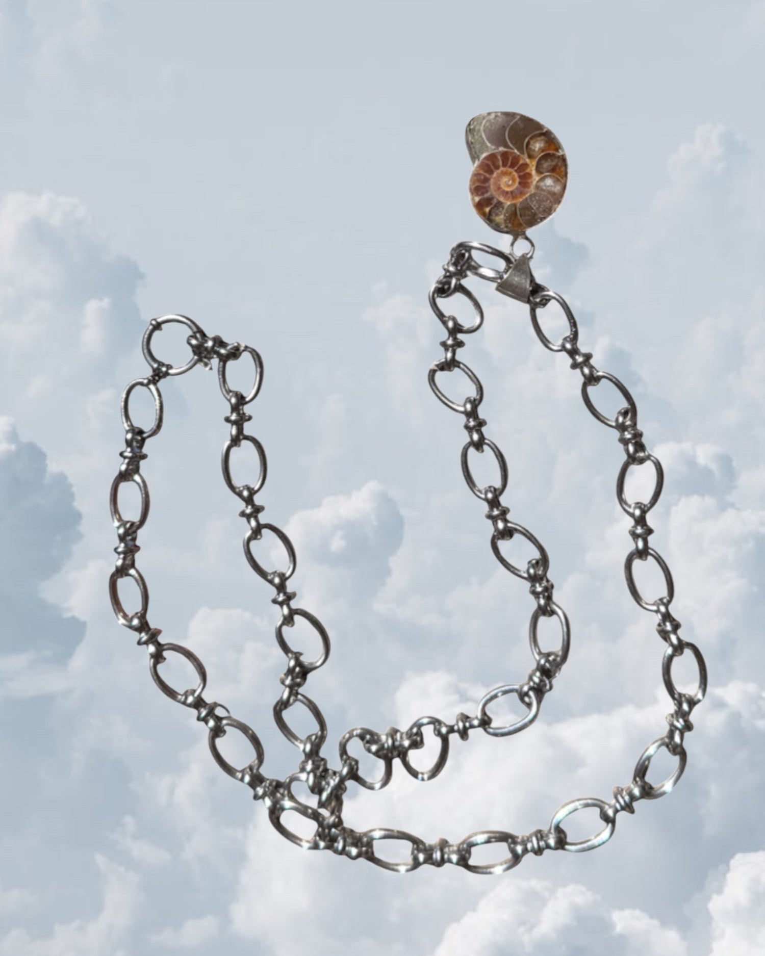 Ammonite Fossil Silver - Zandria