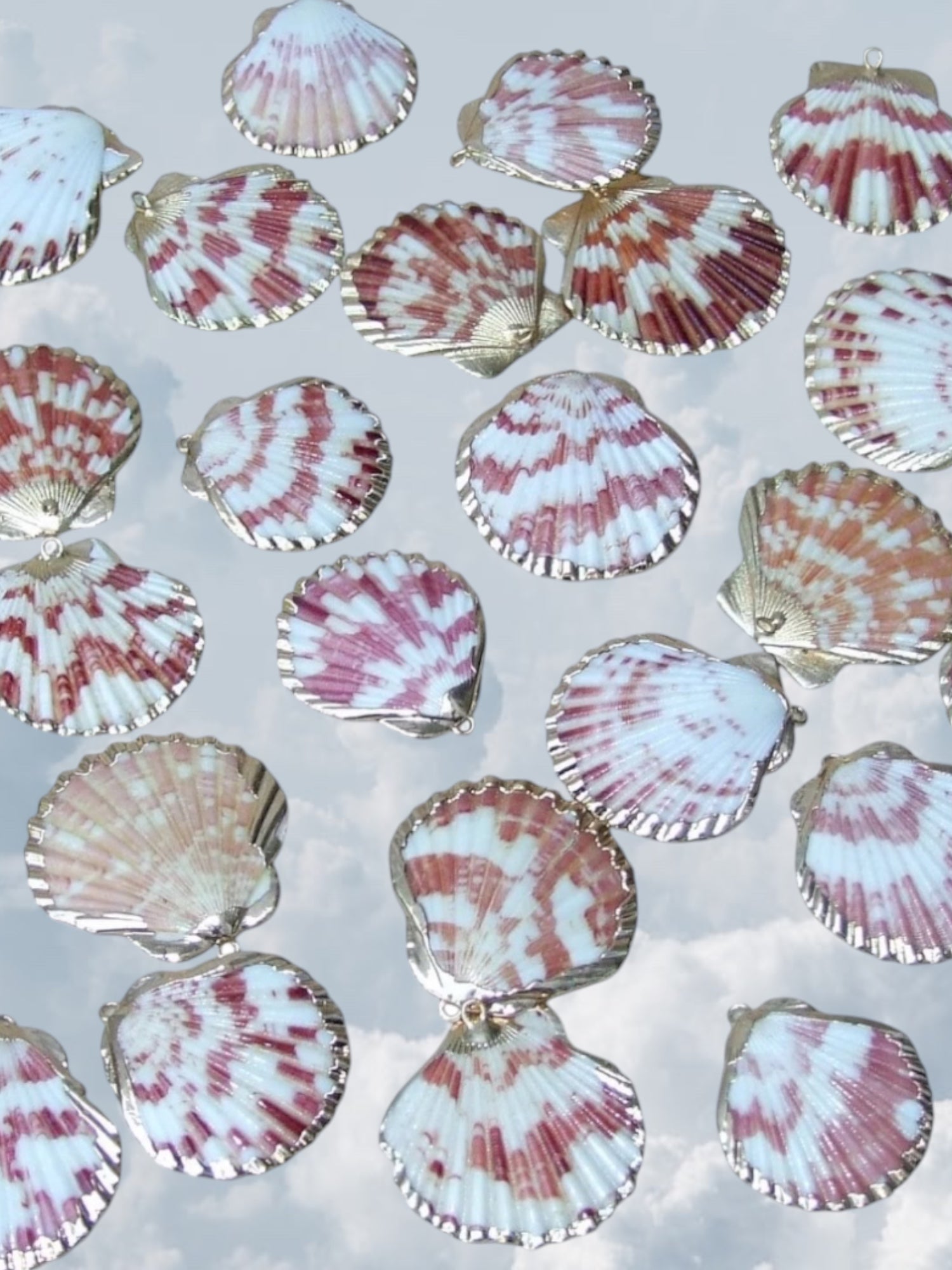 Scallop Shell Gold - Zandria