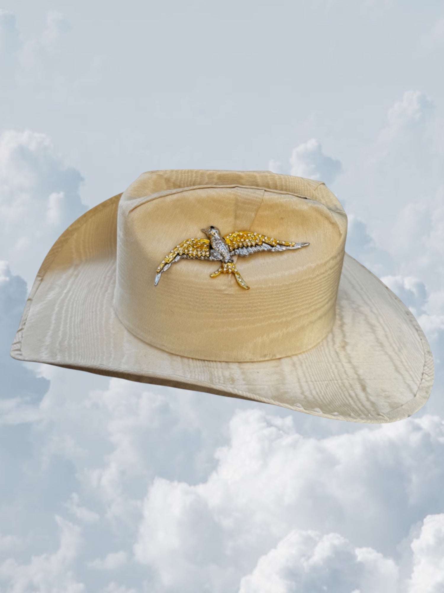 Sparrow in Flight - Zandria