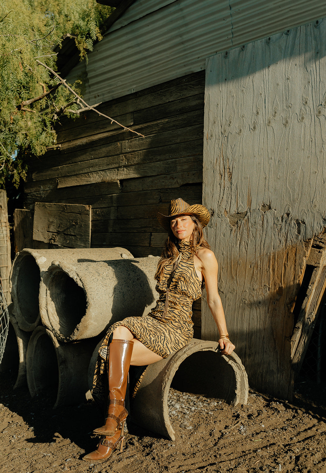 Dusk in the Delta - Zandria