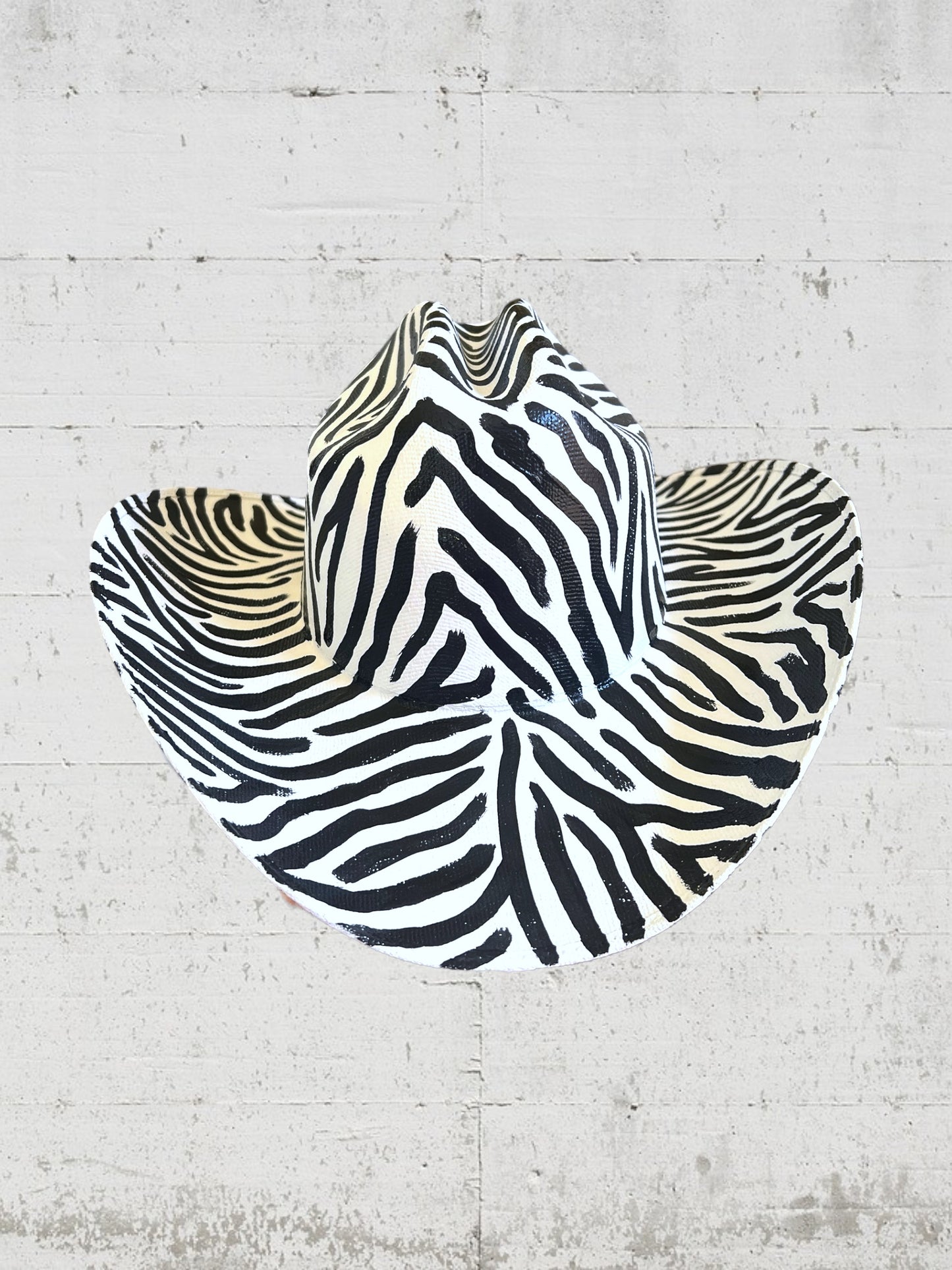 Zebra - Zandria