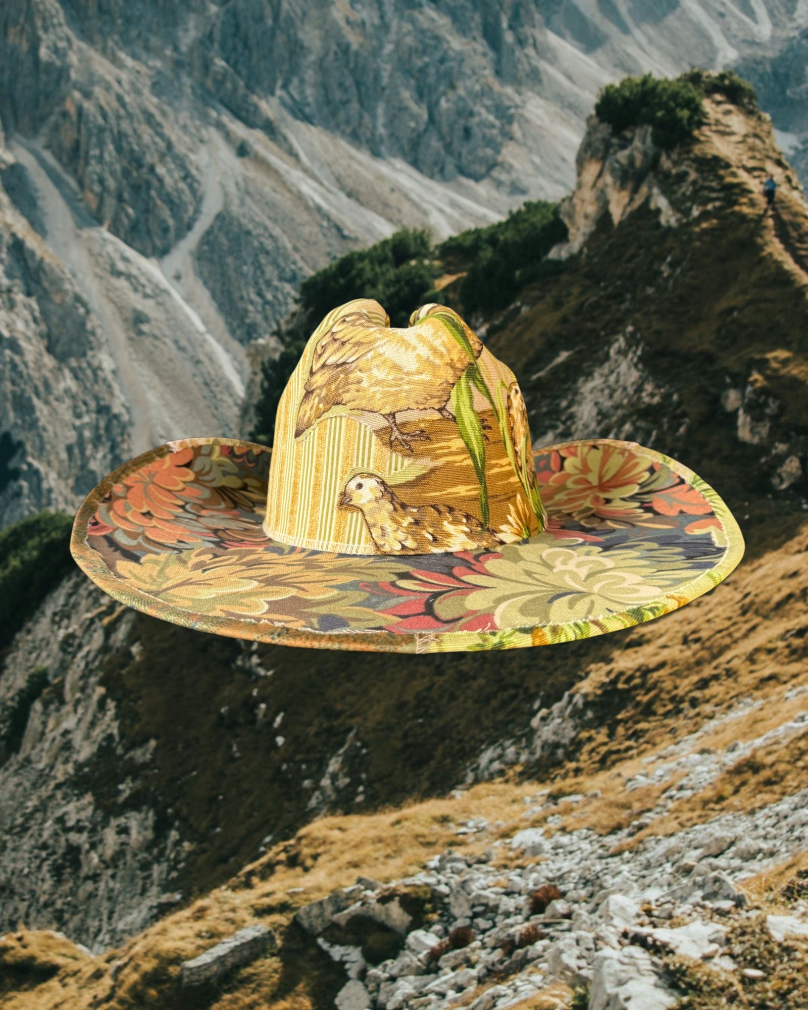 House of Birds - Zandria