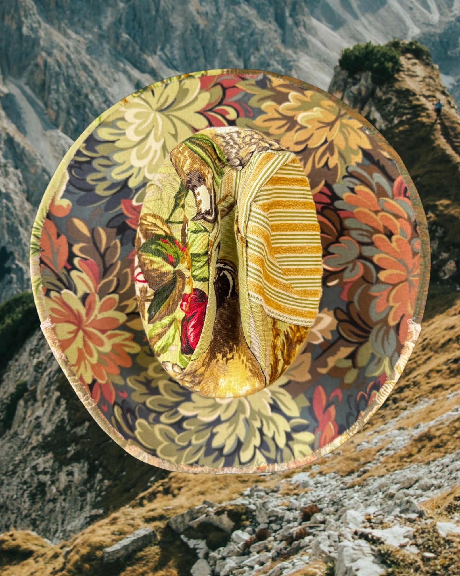 House of Birds - Zandria