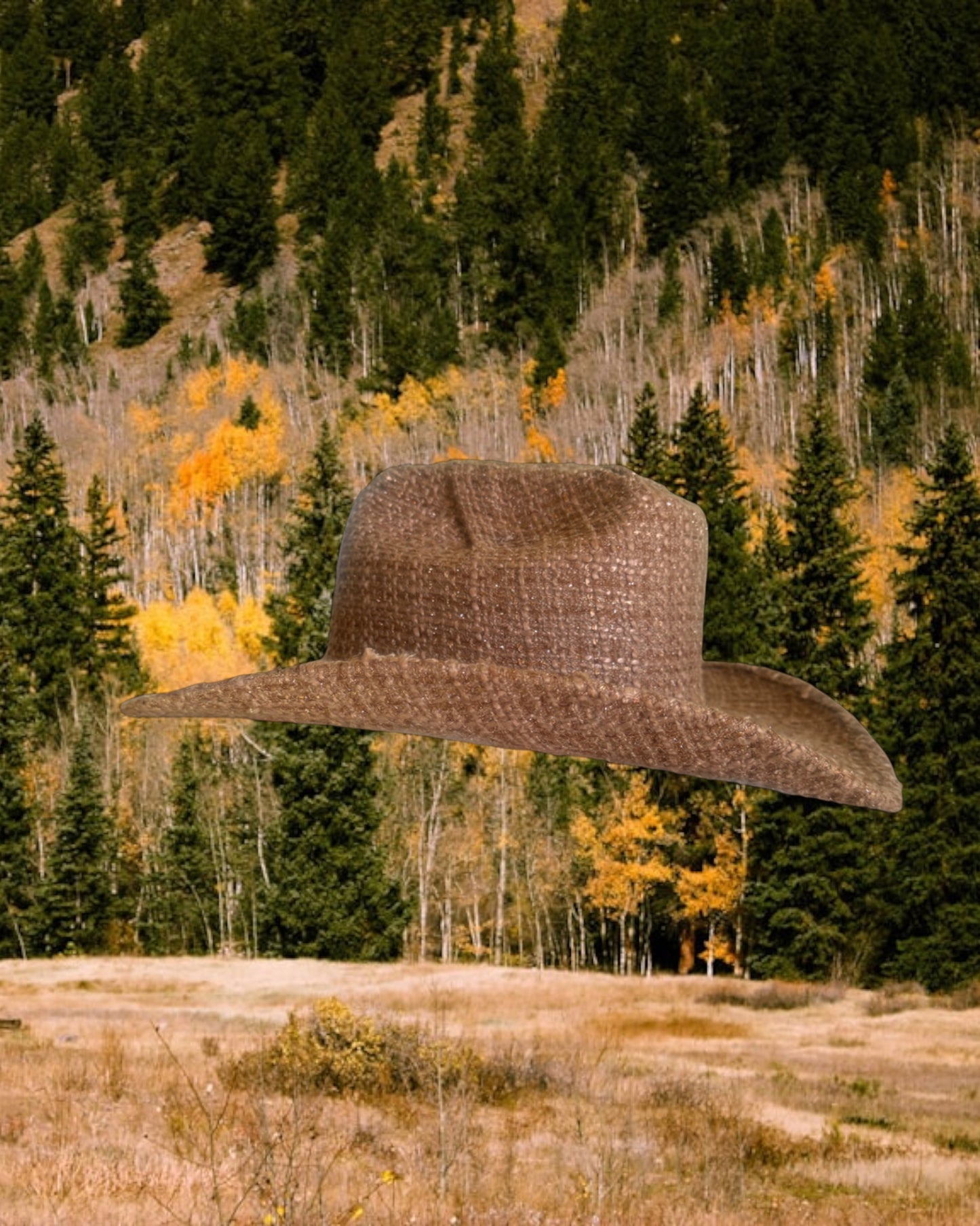 Copper Bouclé - Zandria