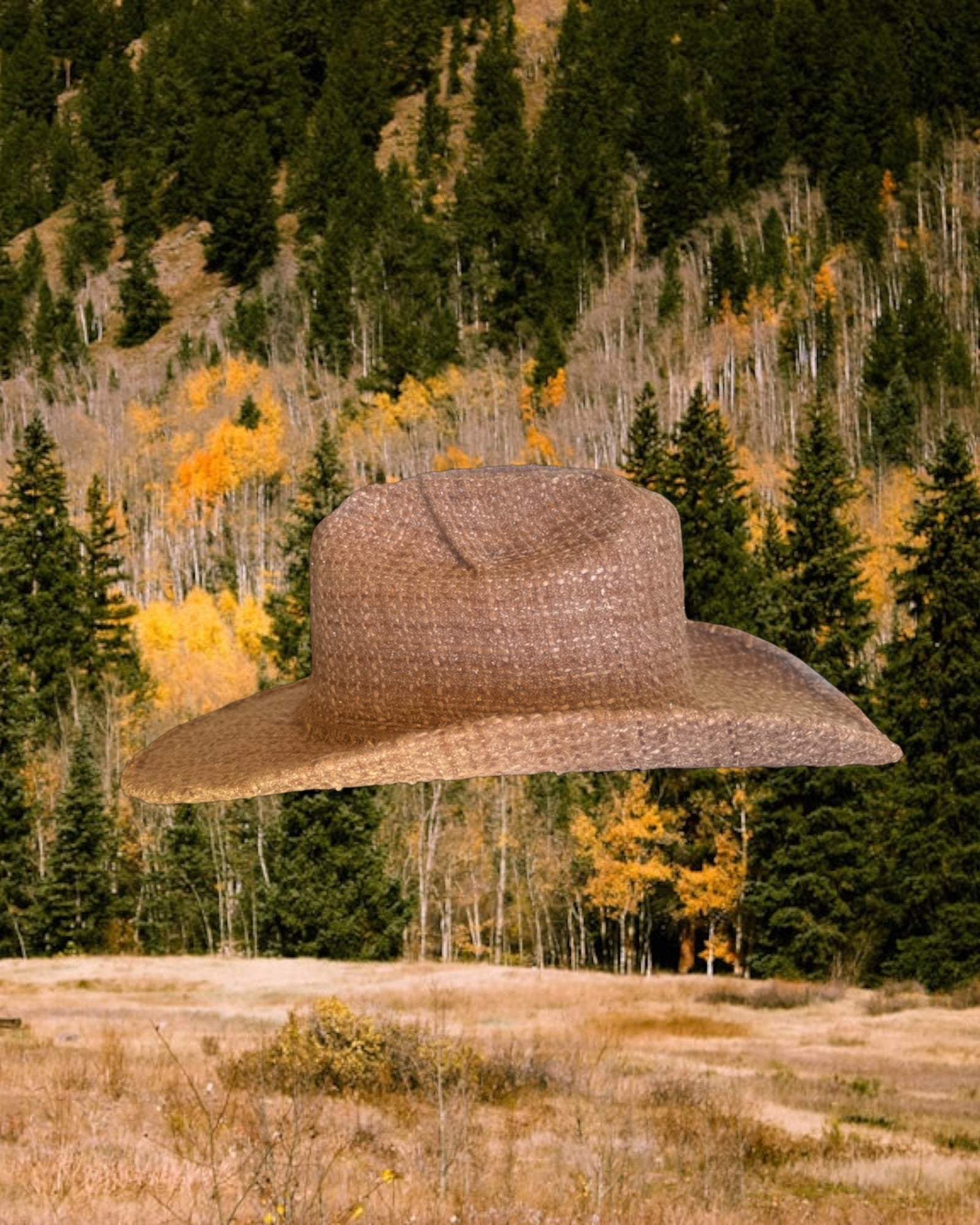 Copper Bouclé - Zandria