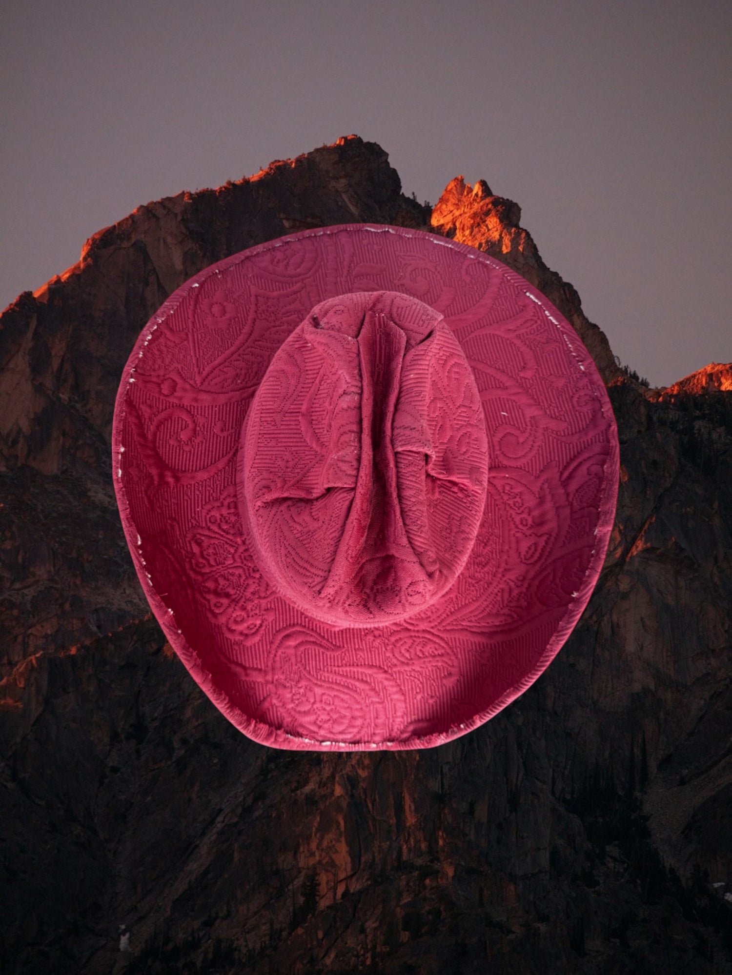 Dahlia Dusk - Zandria