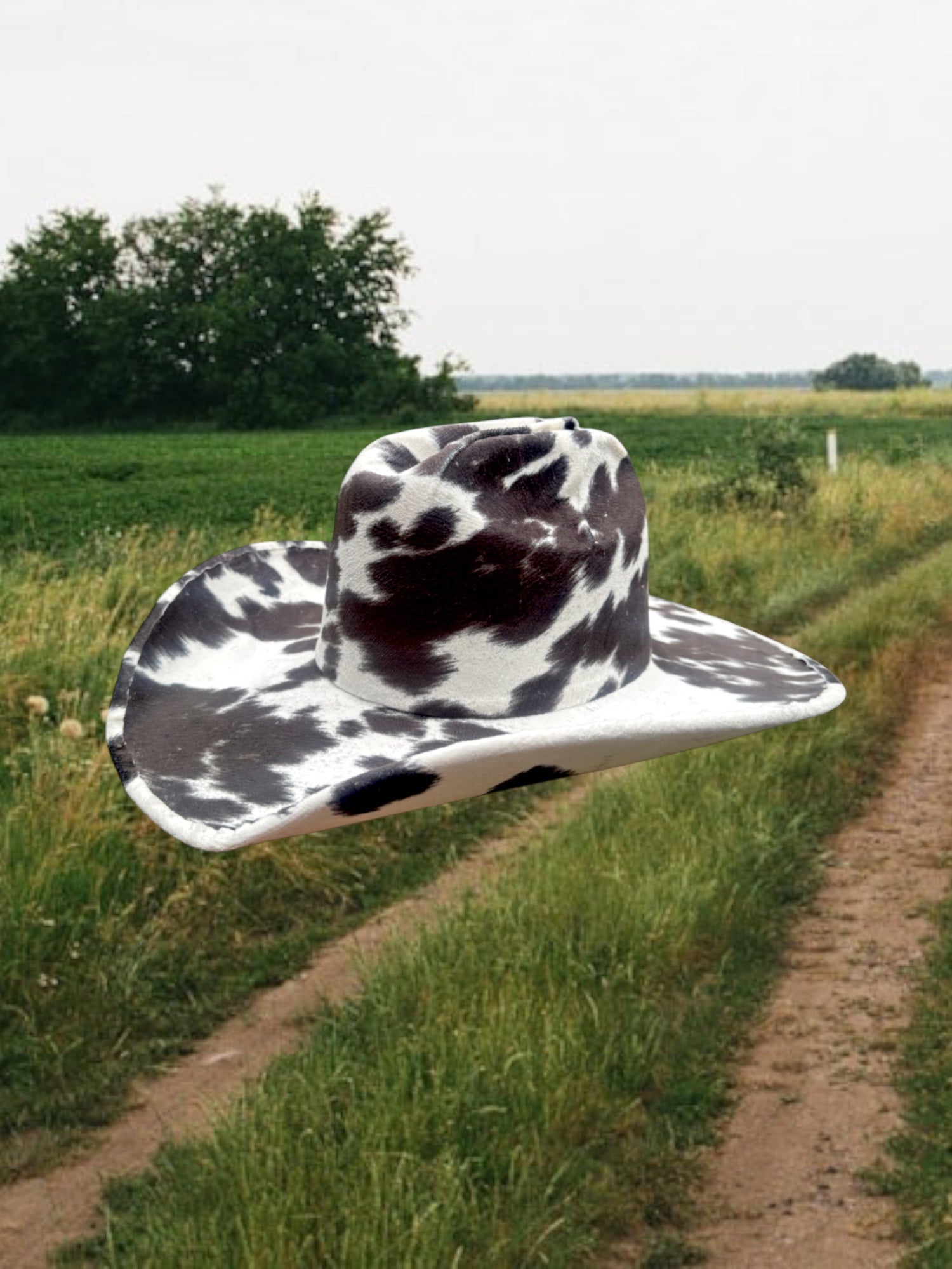 Dairy Dream - Zandria