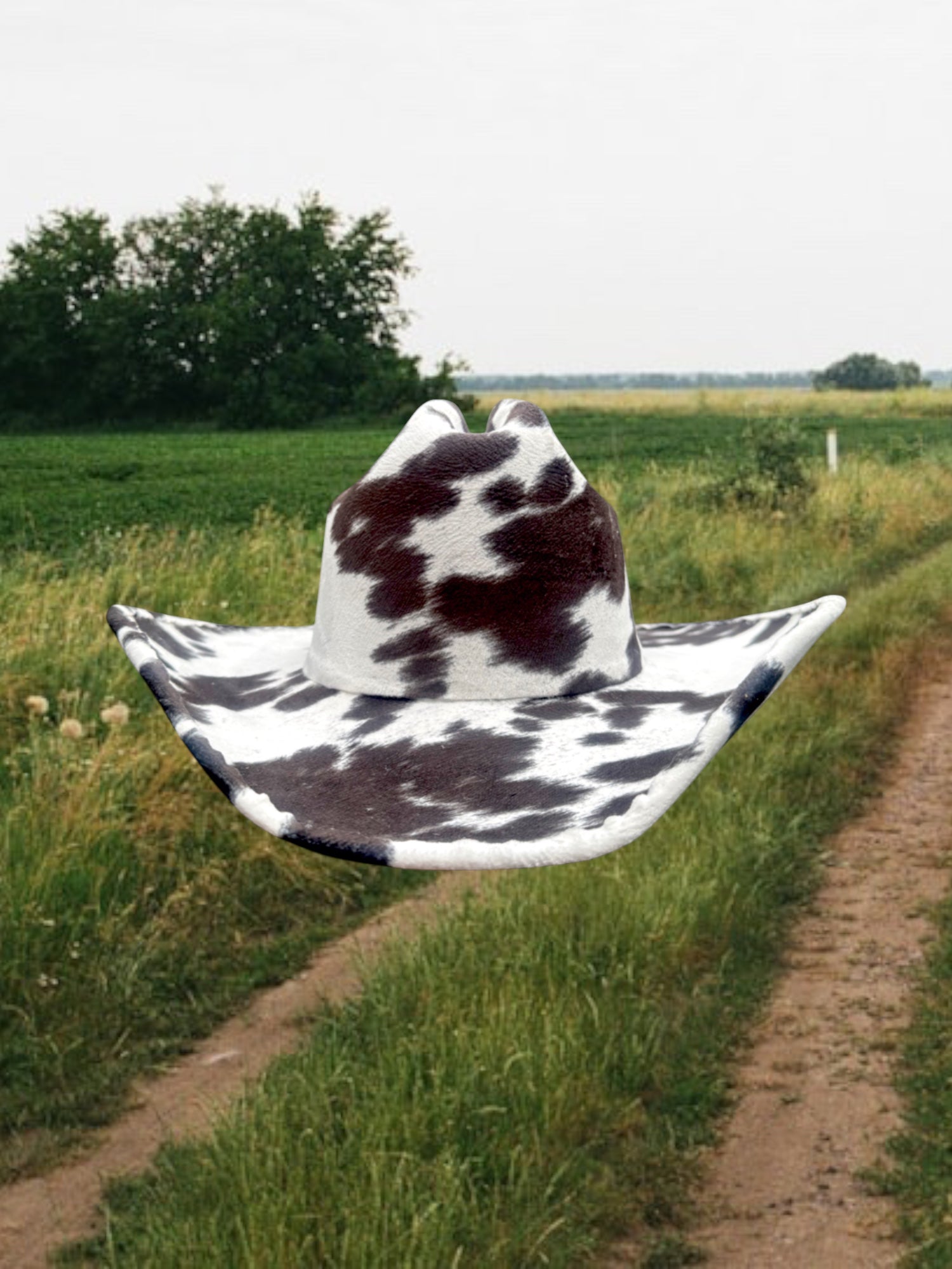 Dairy Dream - Zandria