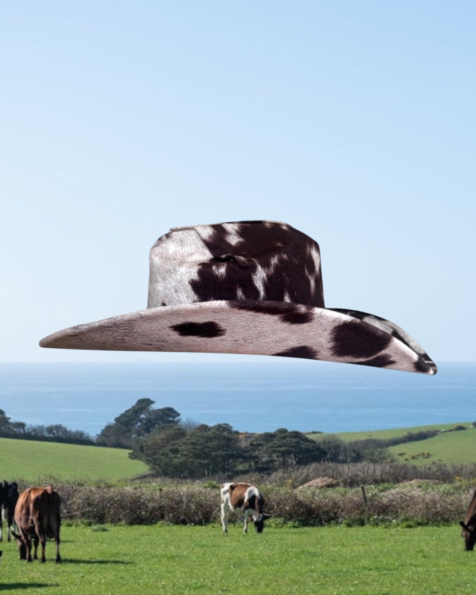 Dairy Mocha - Zandria