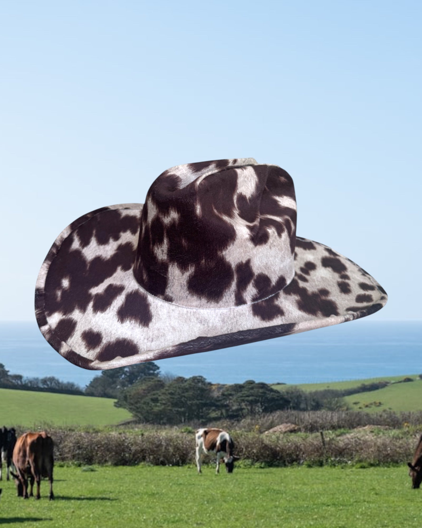 Dairy Mocha - Zandria