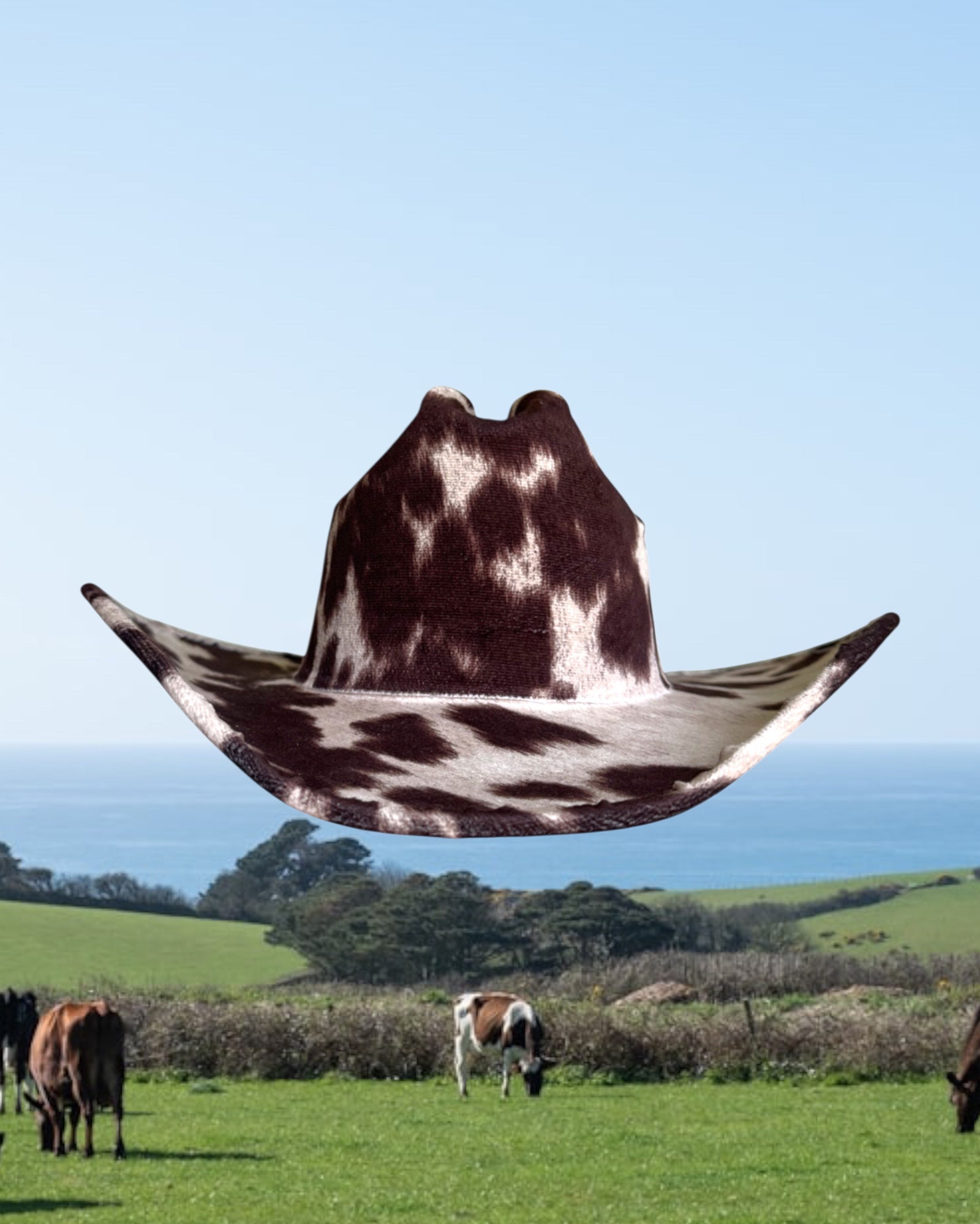 Dairy Mocha - Zandria