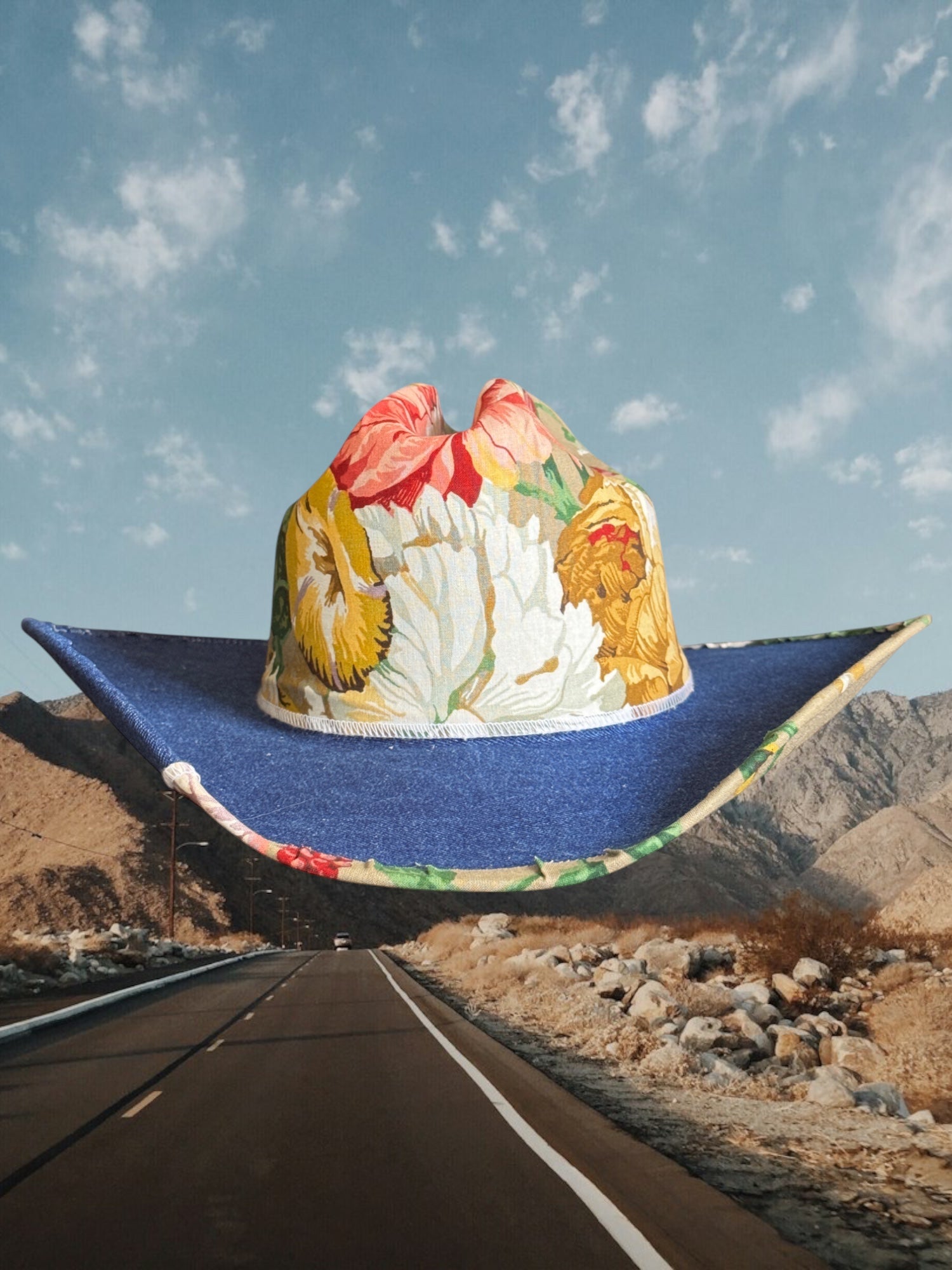 Denim & Daisies - Zandria