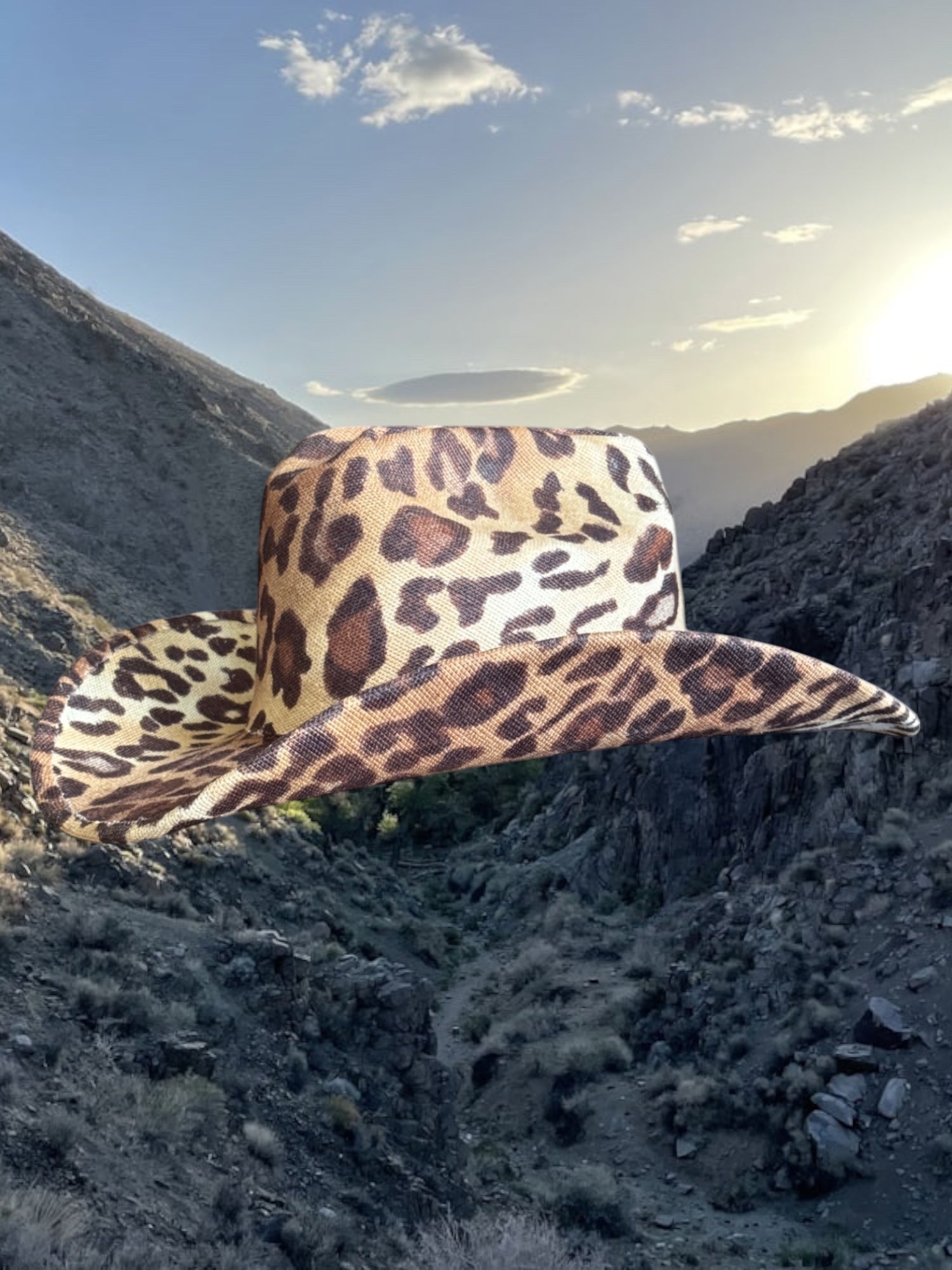 Desert Cheetah - Zandria