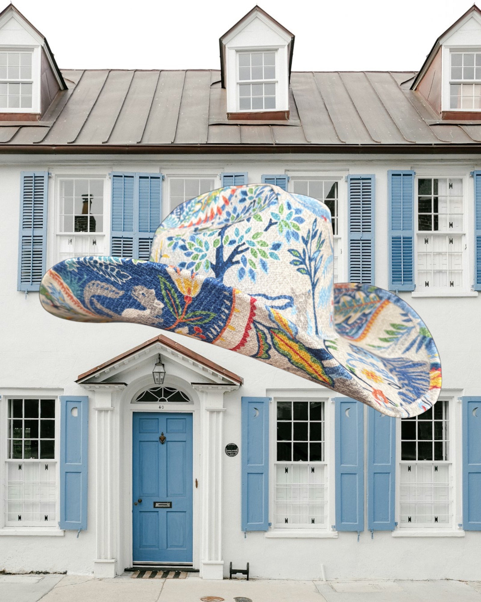 Finicky Butterfly - Zandria