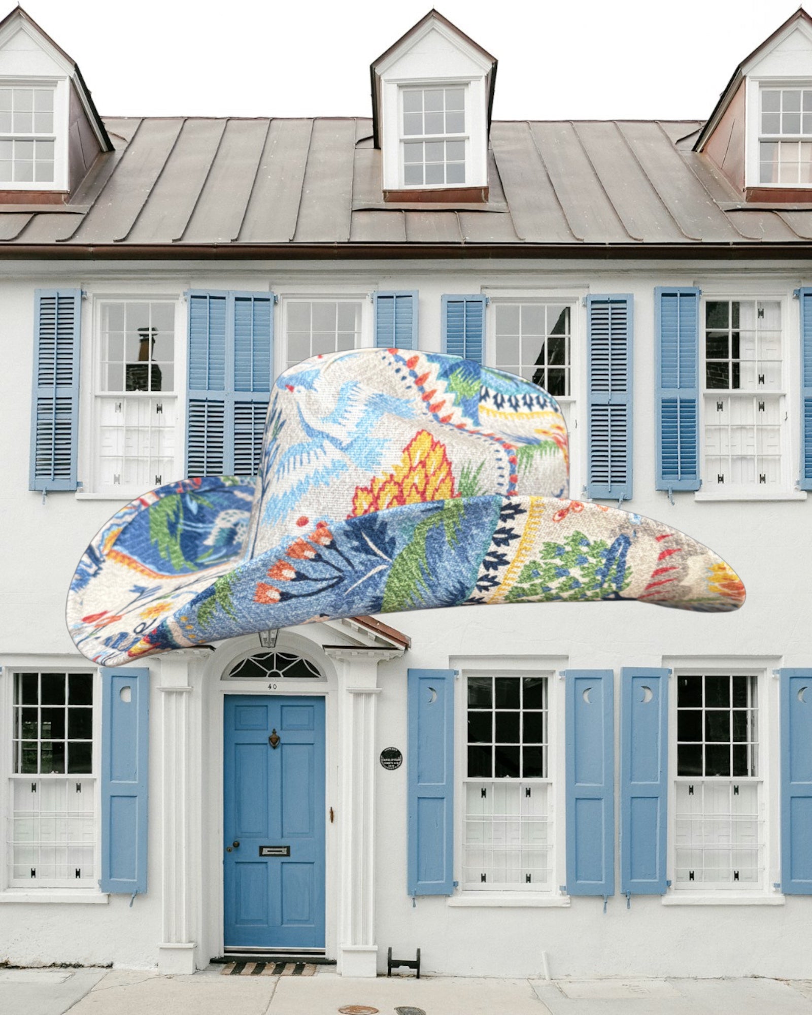 Finicky Butterfly - Zandria