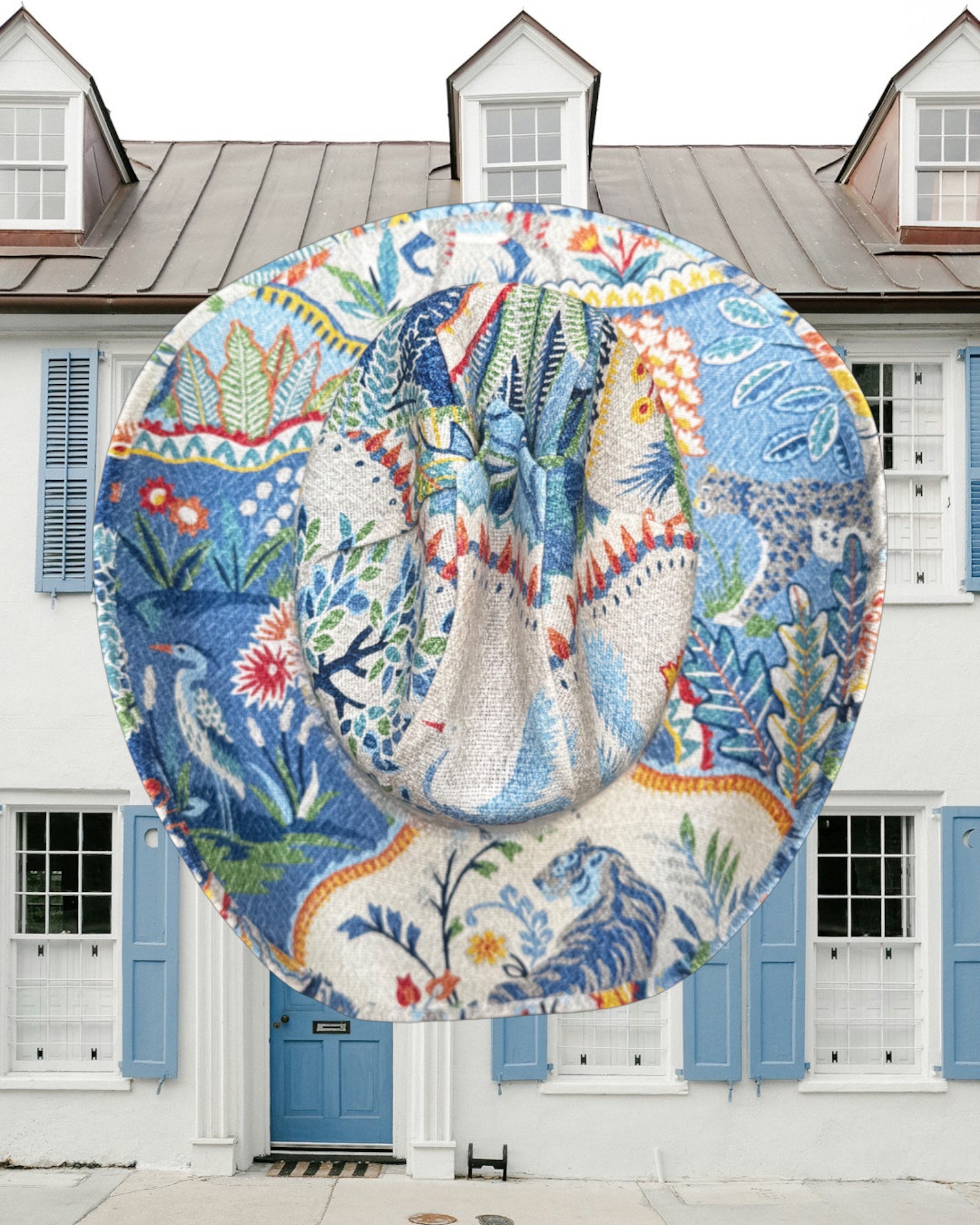 Finicky Butterfly - Zandria