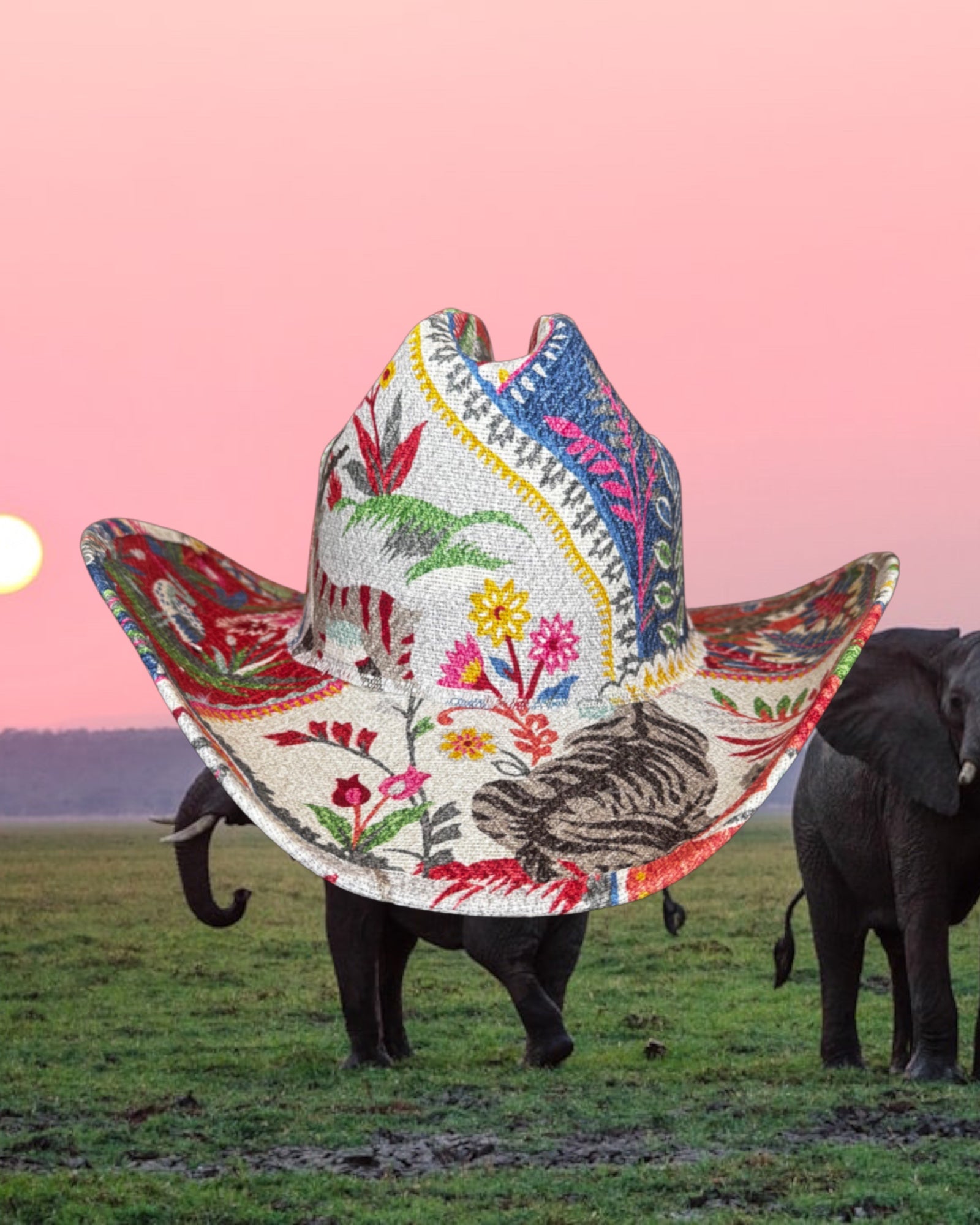 Finicky Hibiscus - Zandria