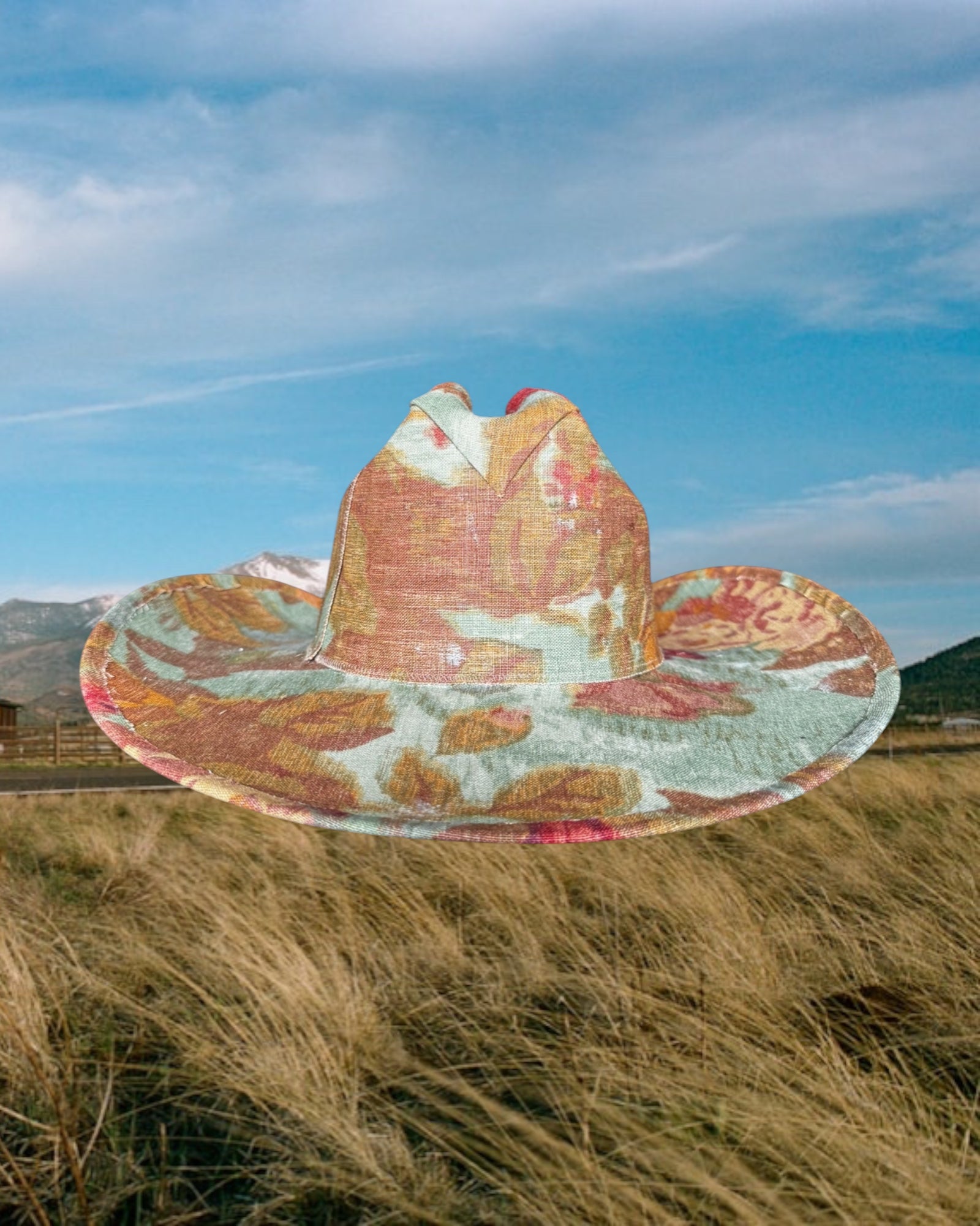 Fresco Sky
