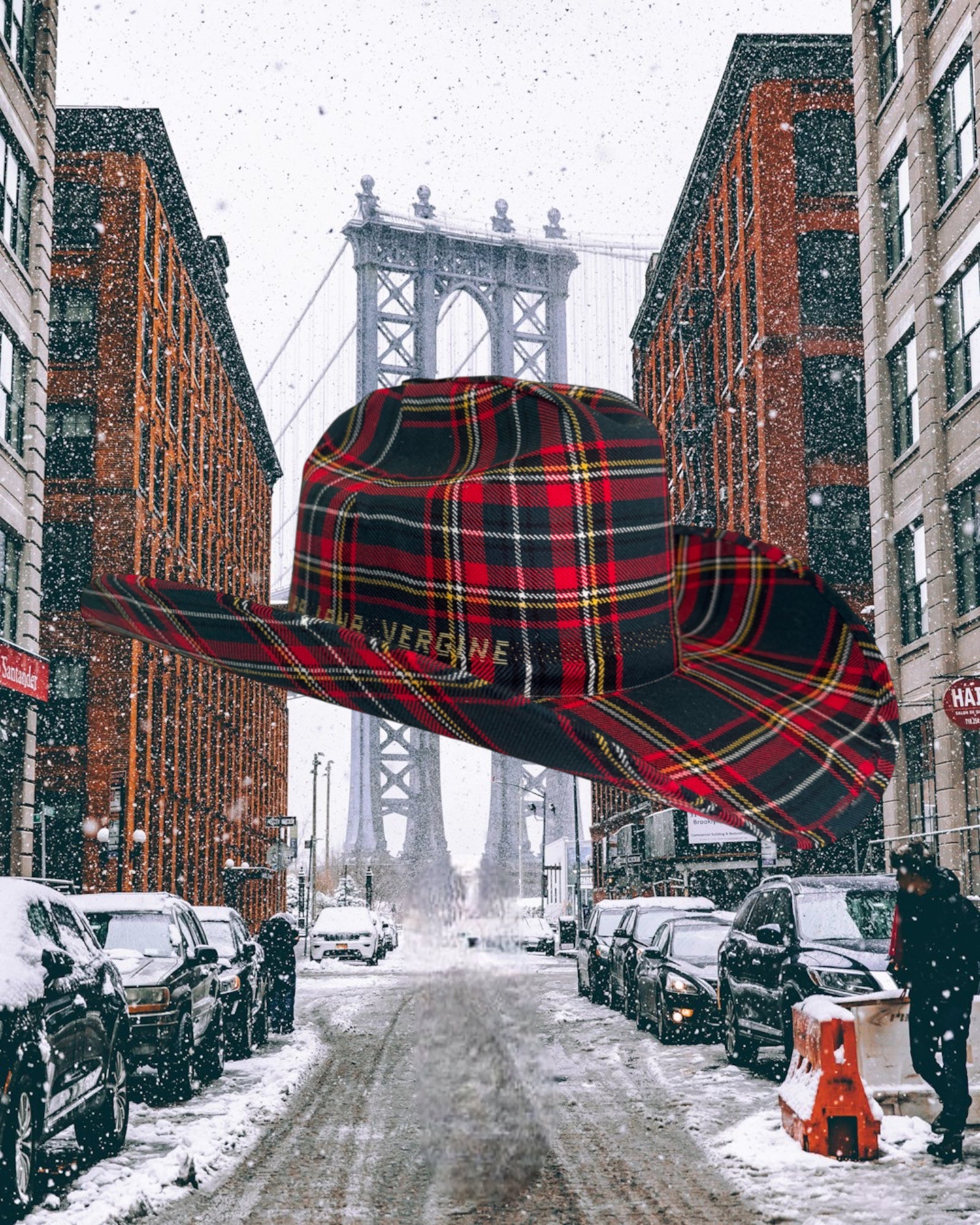 Highland Forest - Zandria